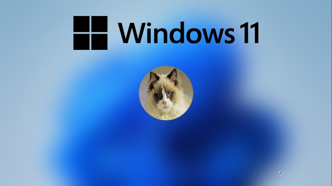 Windoge 10 Wallpapers