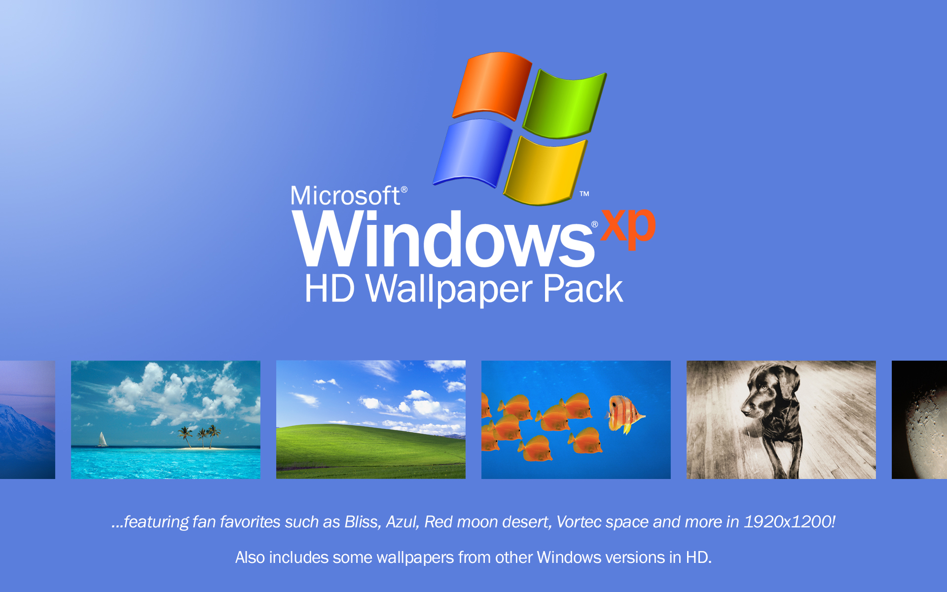 Window Xp Desktop Wallpapers