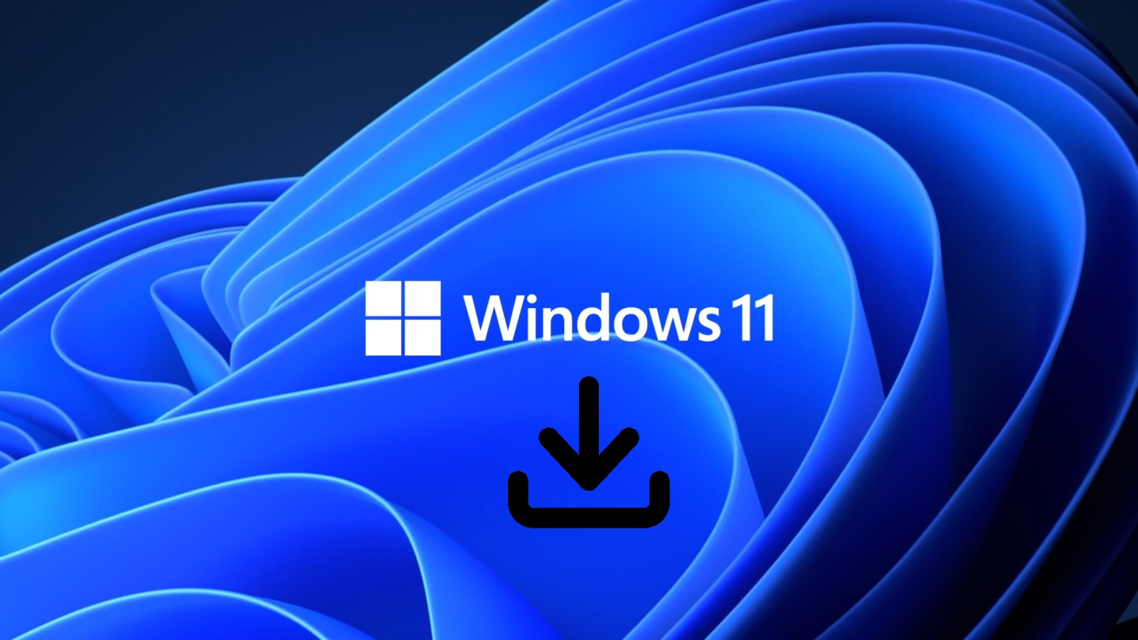 Windows 11 Burning Logo 4K Wallpapers