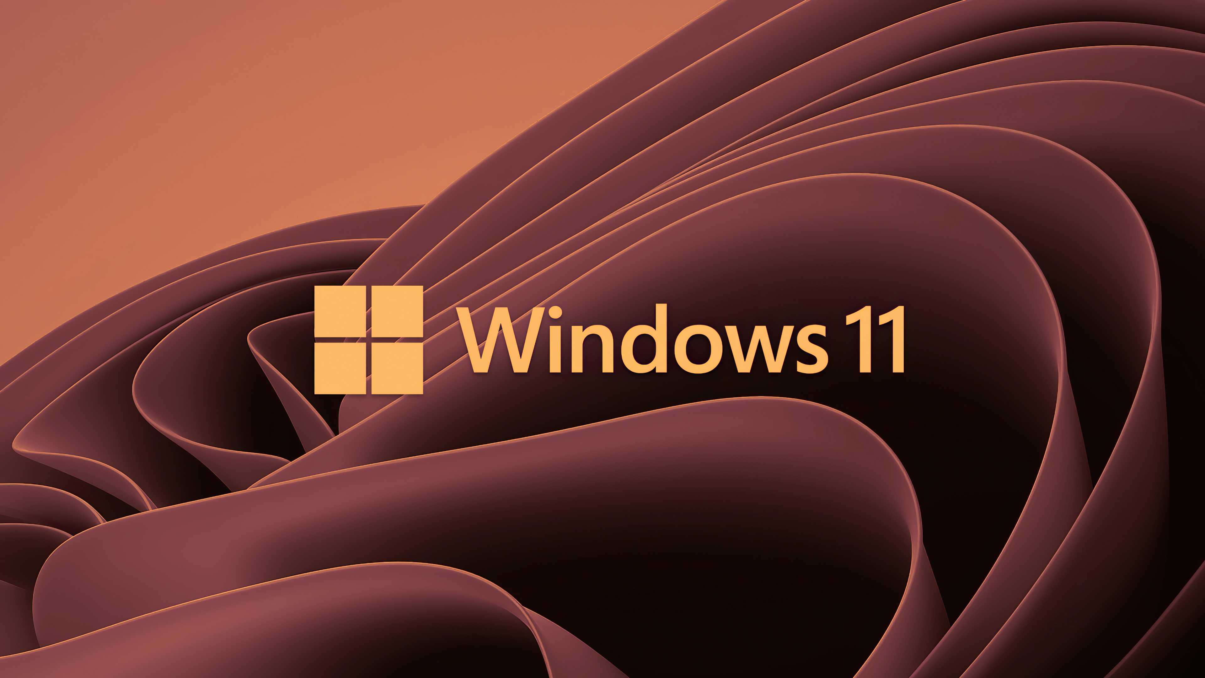 Windows 11 In 4K Wallpapers