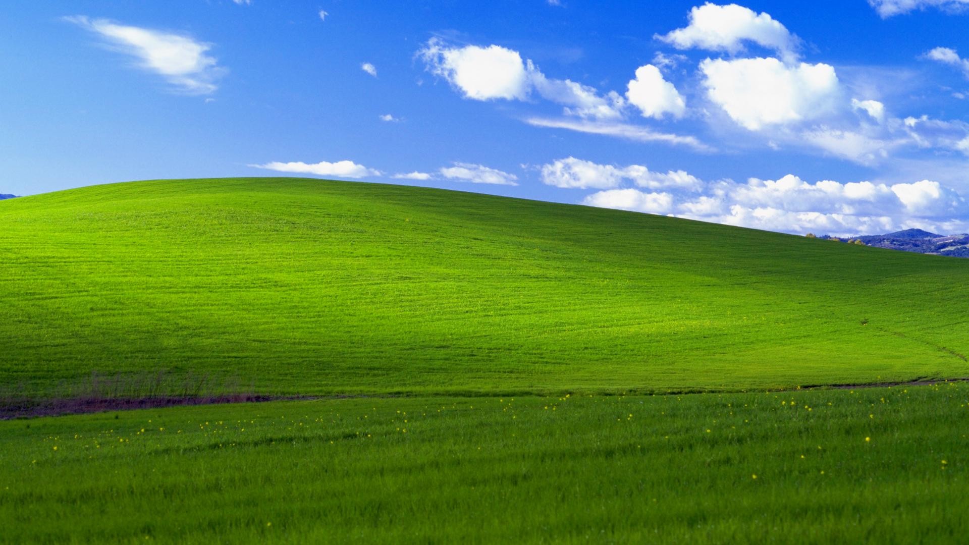 Windows 95 Background