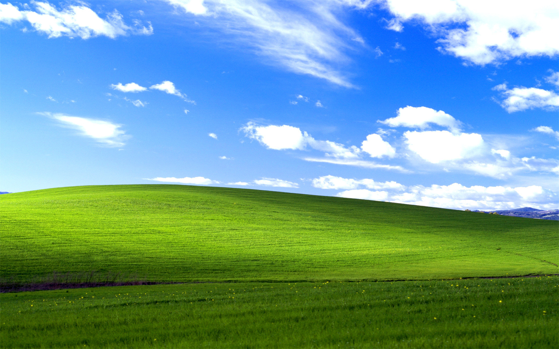 Windows 95 Background