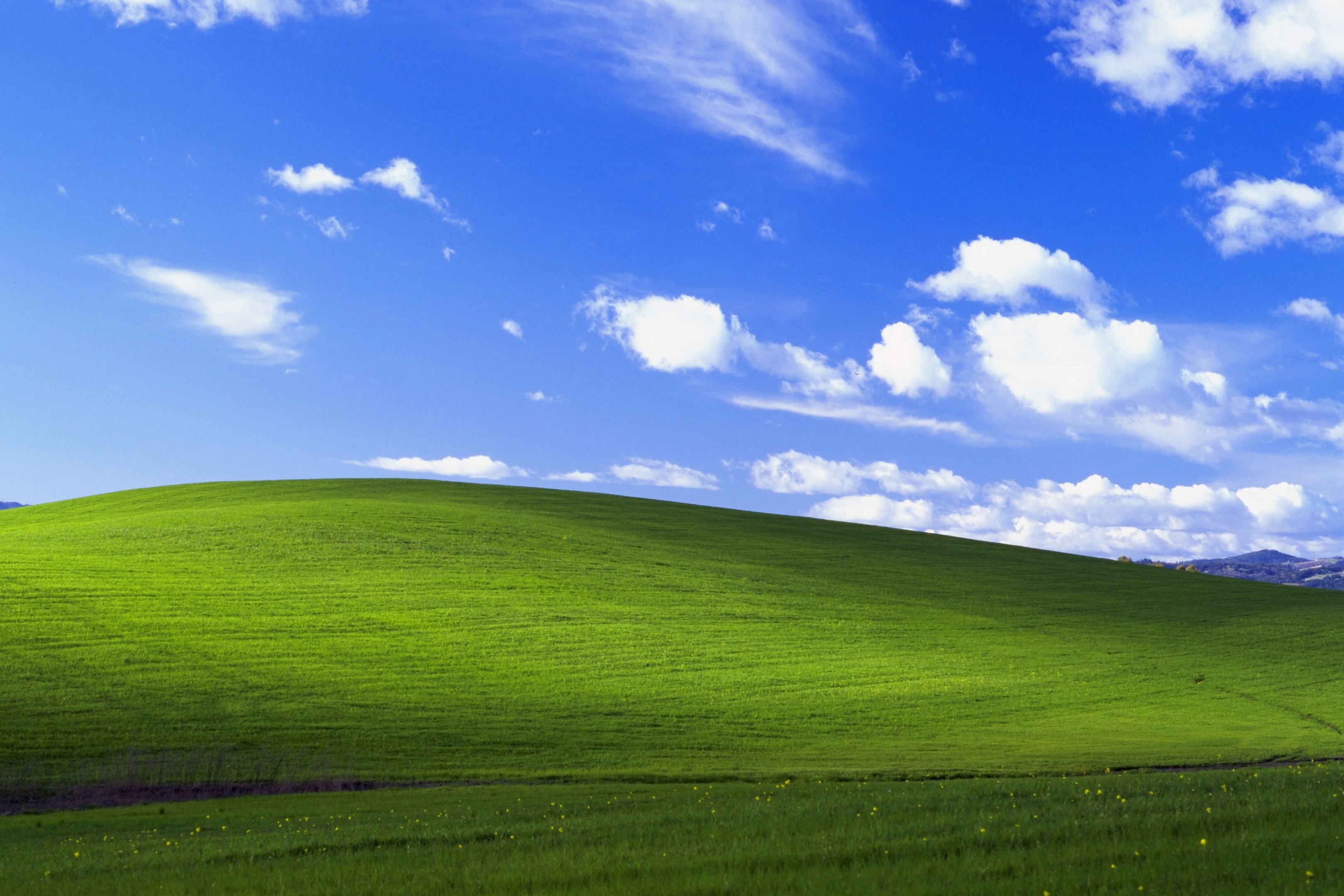 Windows Default Wallpapers