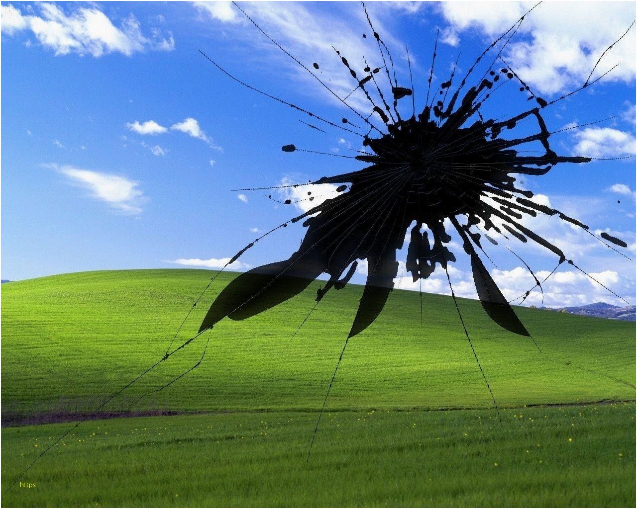 Windows Xp 4K Wallpapers