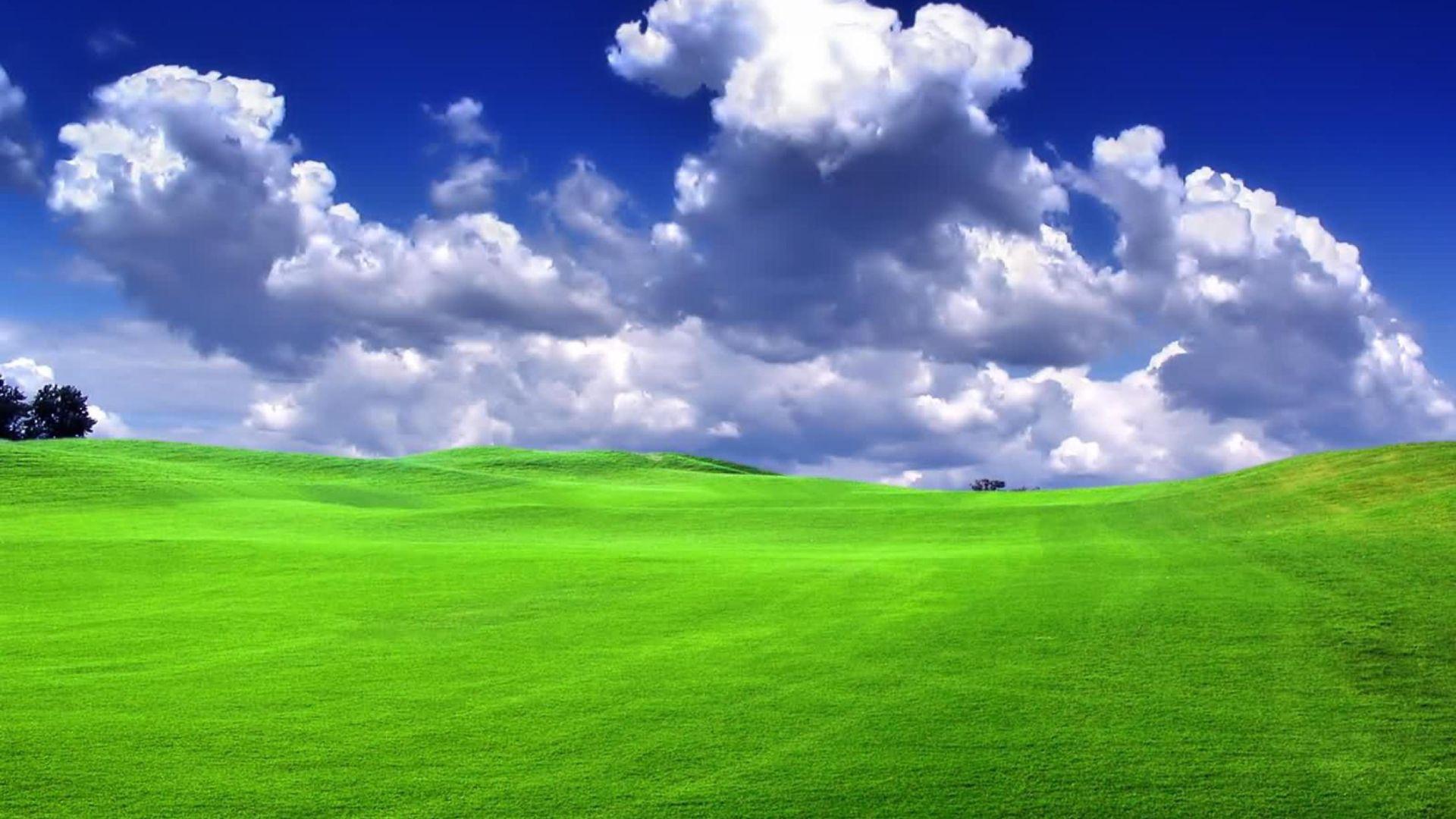 Windows Xp Logo Wallpapers