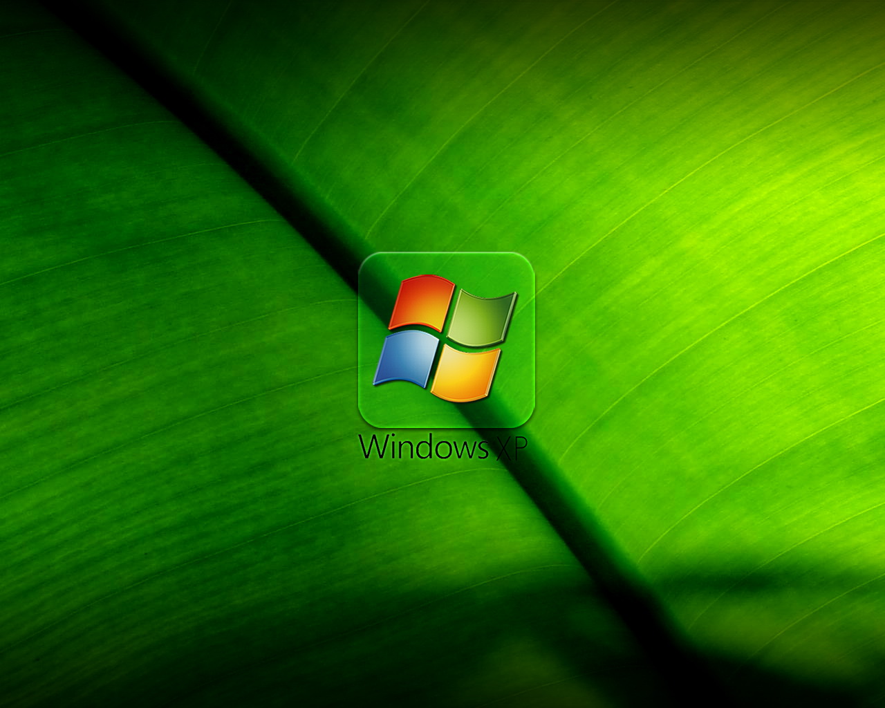 Windows Xp Professional Wallpapers