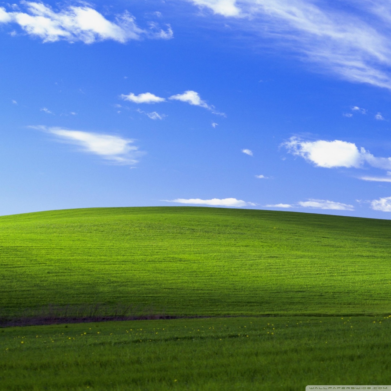 Windows Xp Professional Wallpapers