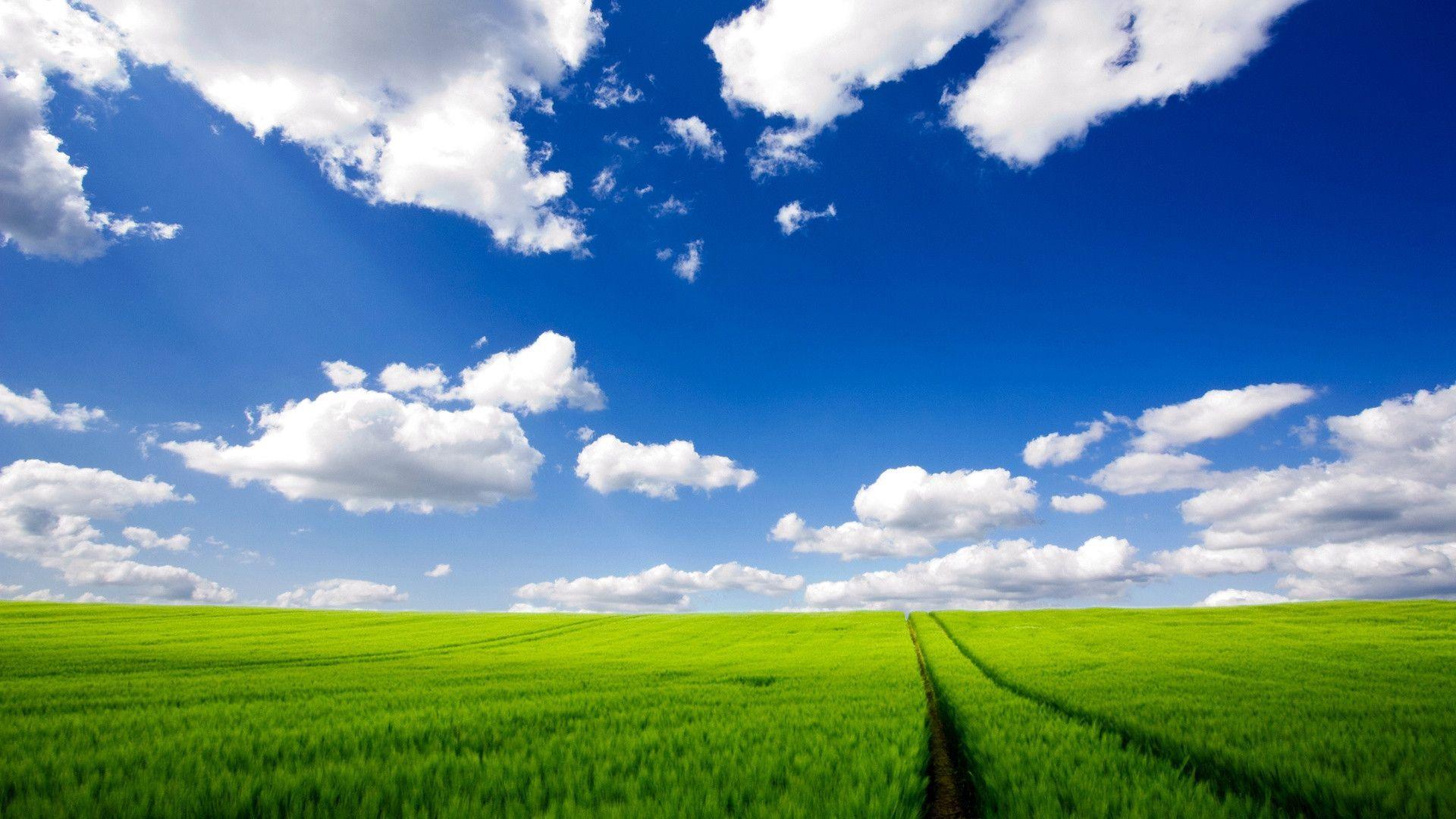 Windows Xp Wallpapers