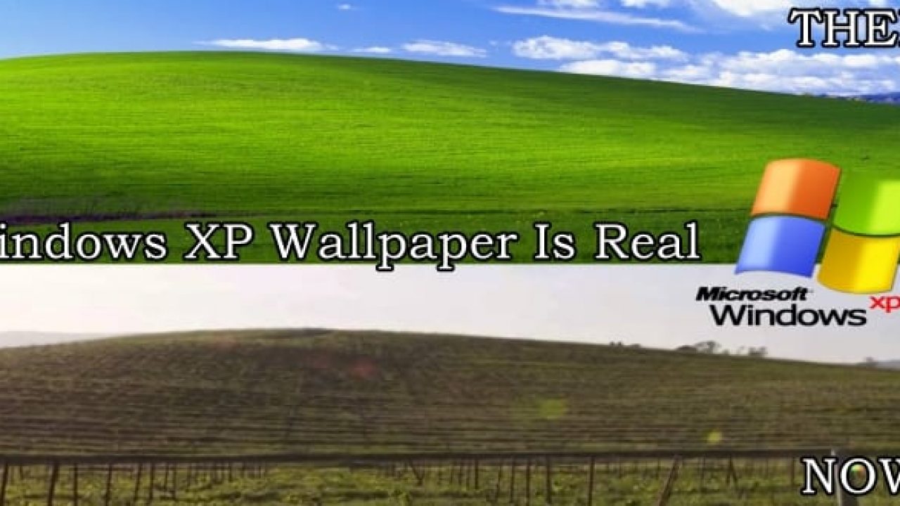 Windows Xp Wallpapers