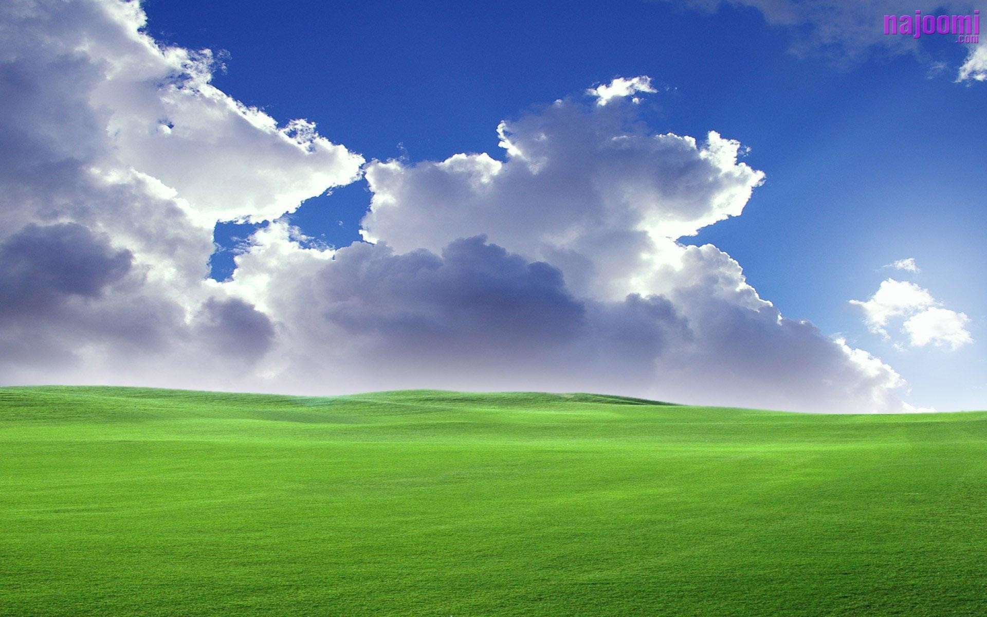 Windows Xp Wallpapers