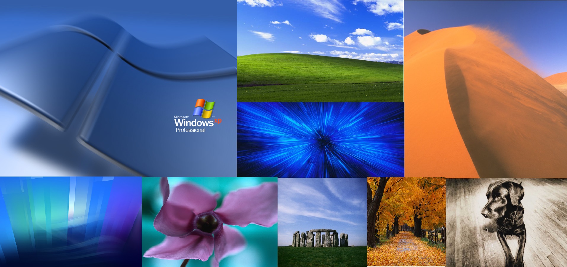 Windows Xp Wallpapers