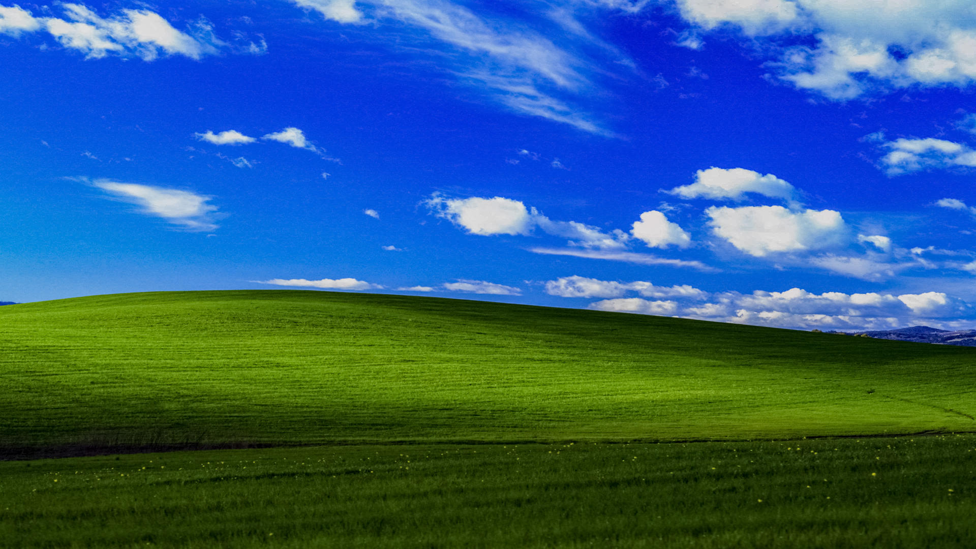 Windows Xp Wallpapers