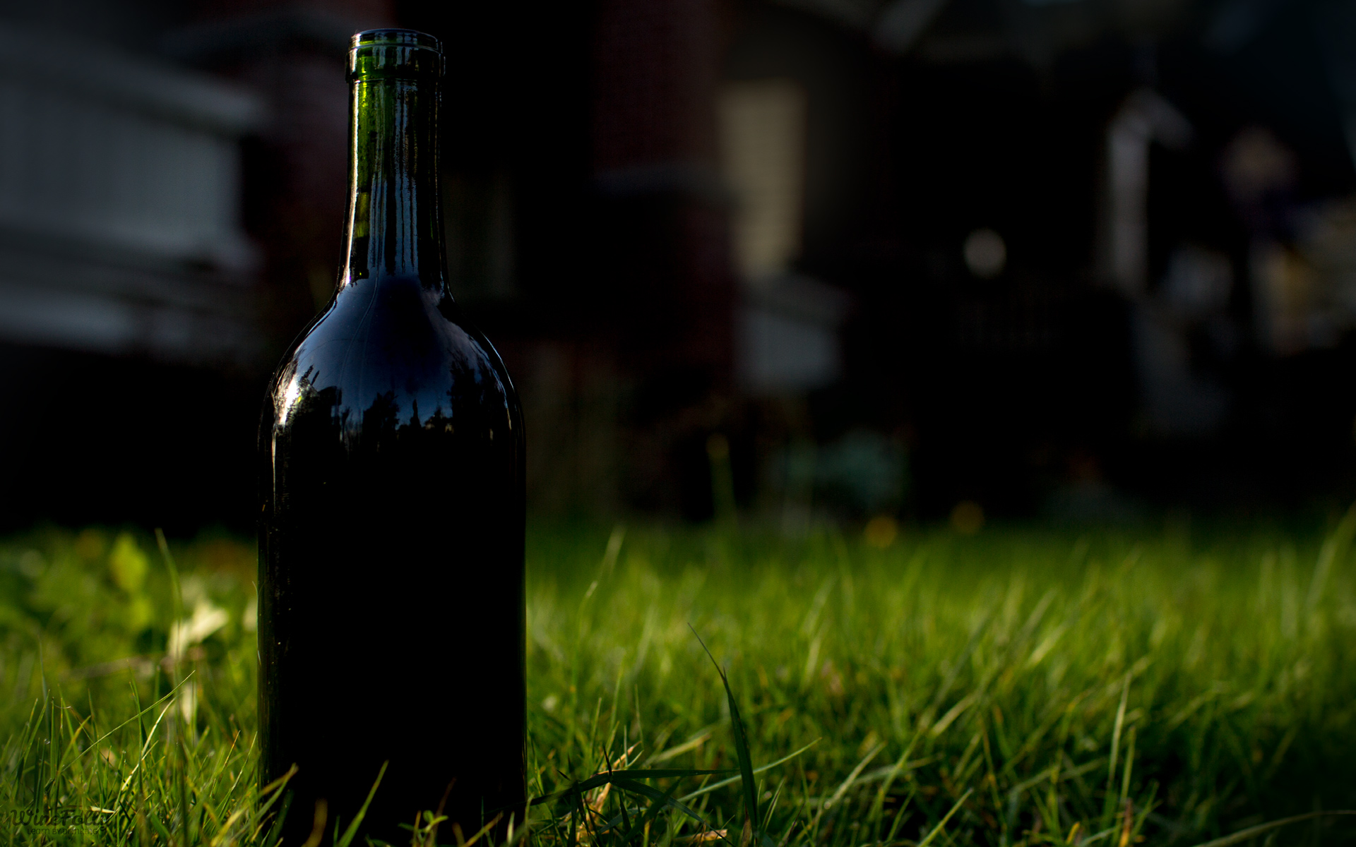 Wine Bottle Background