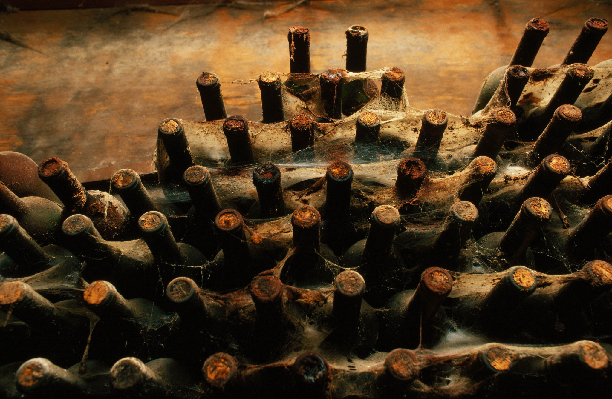 Wine Cellar Wallpapers