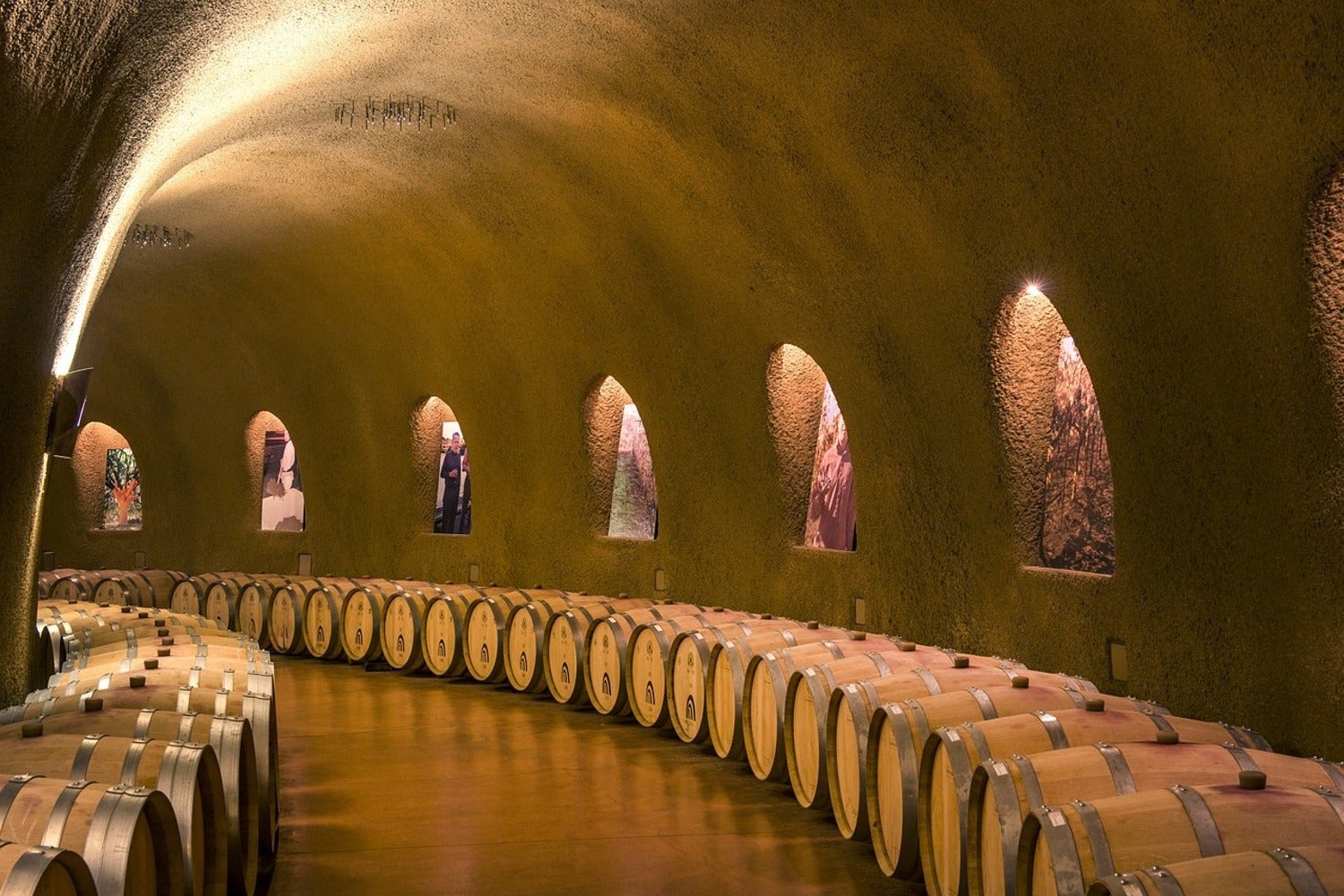 Wine Cellar Wallpapers