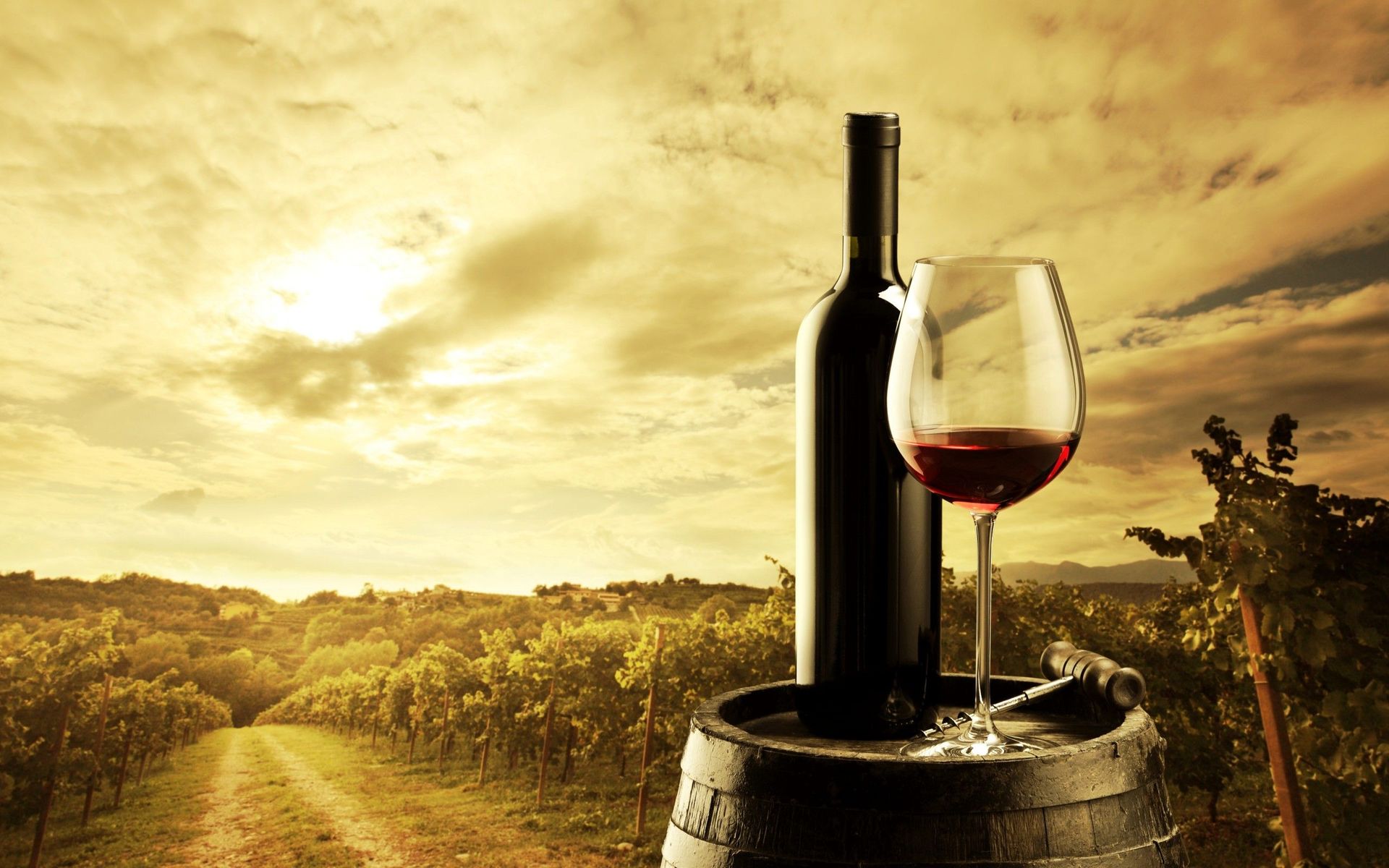 Wine Hd Wallpapers