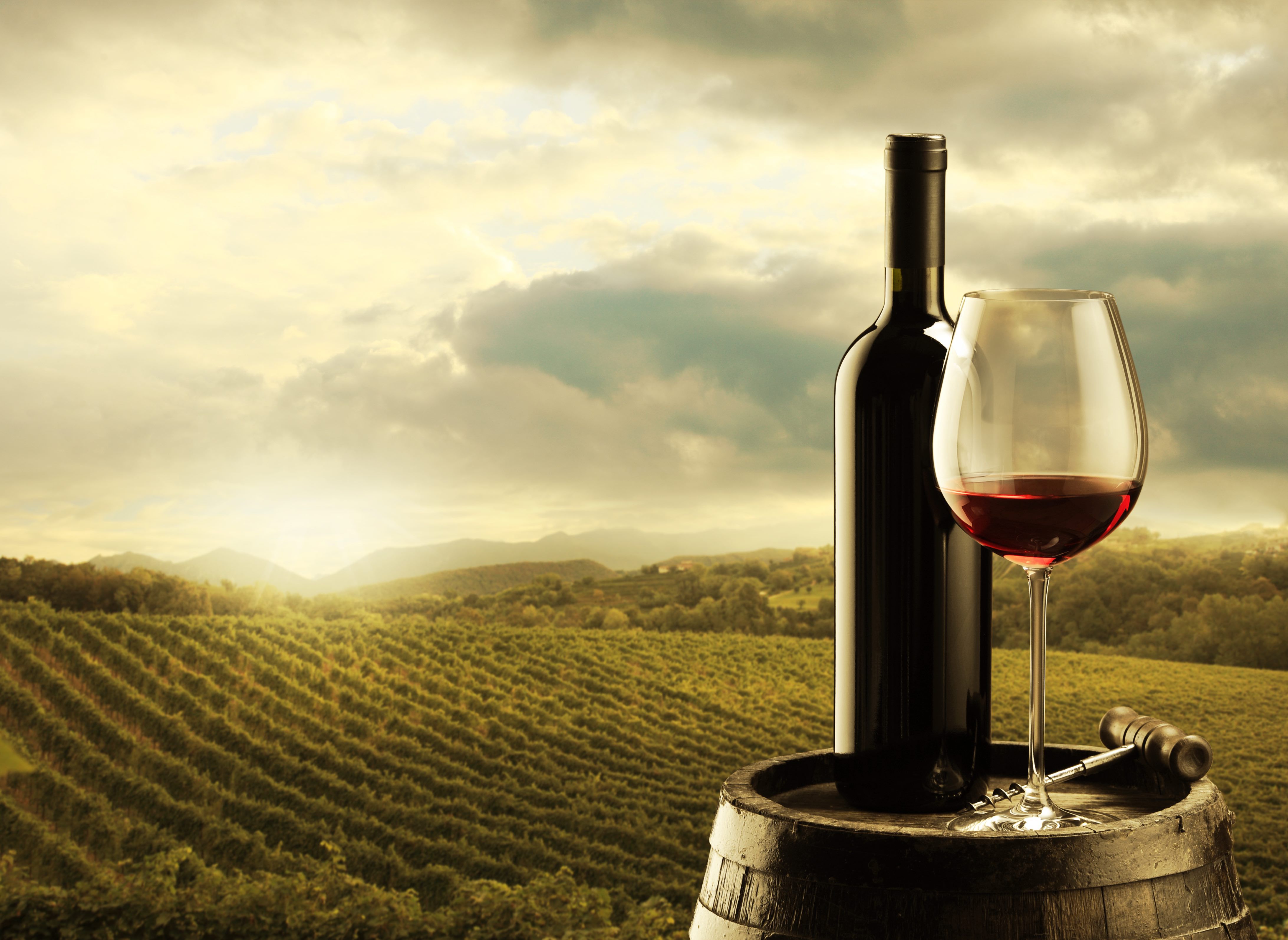 Wine Hd Wallpapers