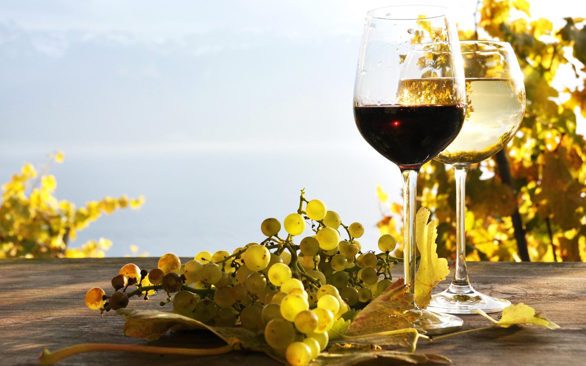 Wine Hd Wallpapers