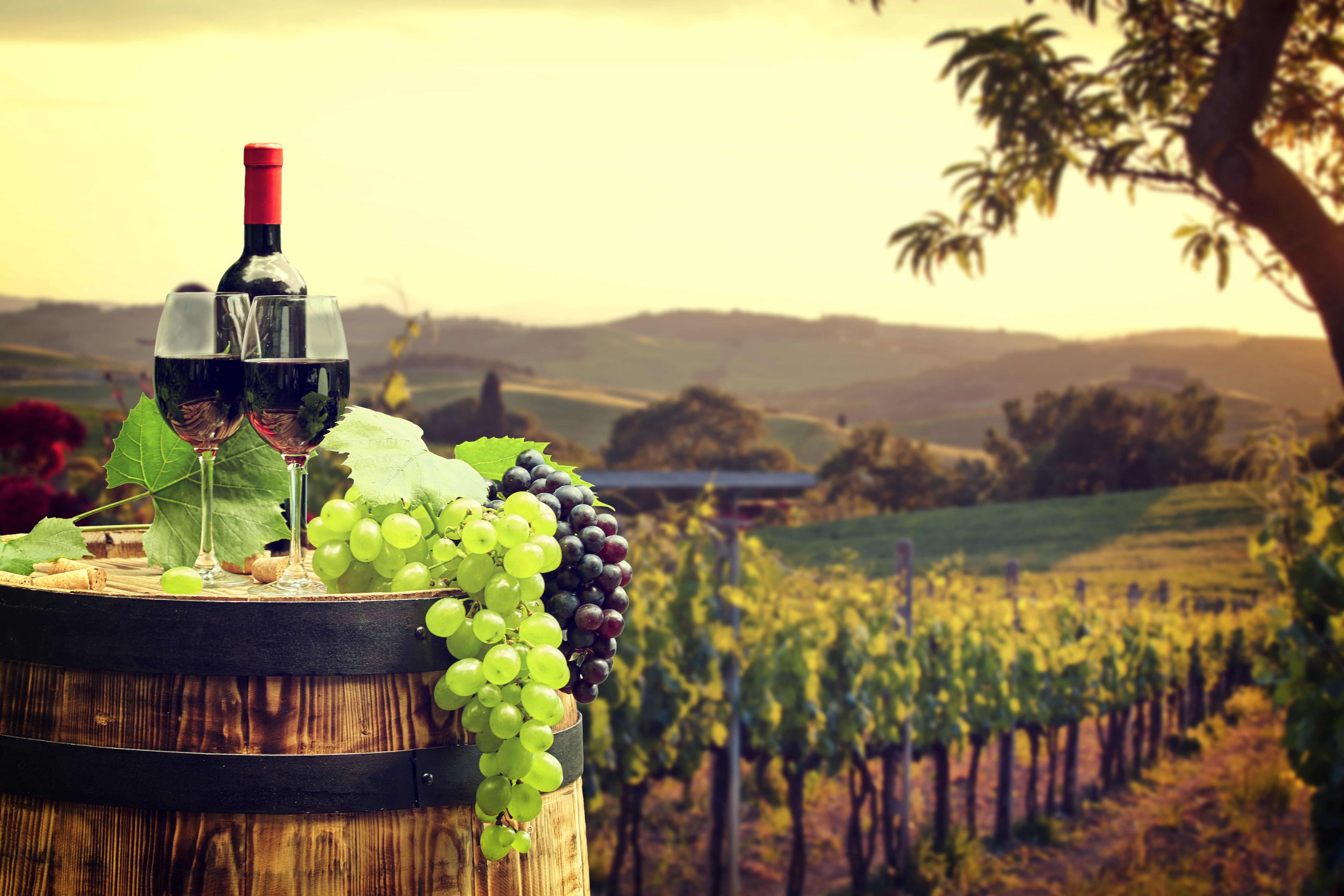 Wine Hd Wallpapers