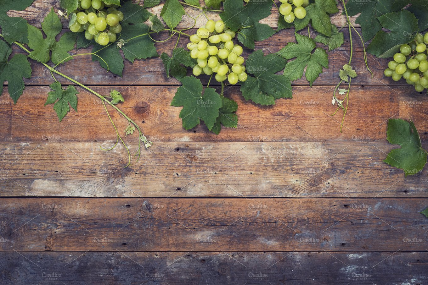 Winery Background