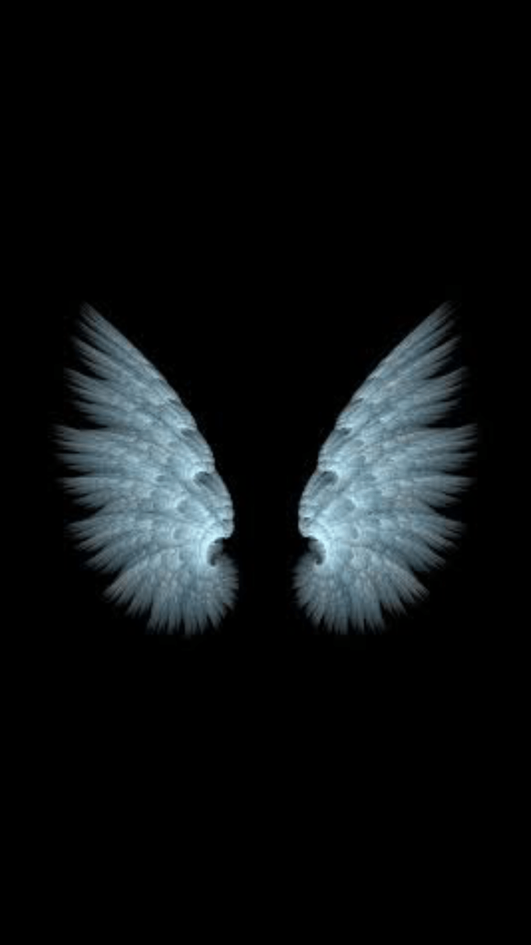 Wings Wallpapers