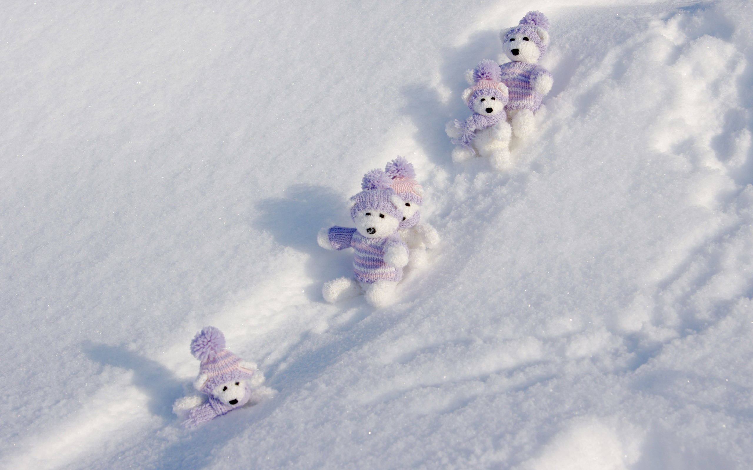 Winter Baby Animals Wallpapers