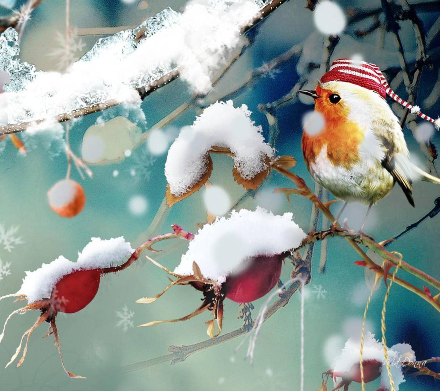 Winter Bird Wallpapers
