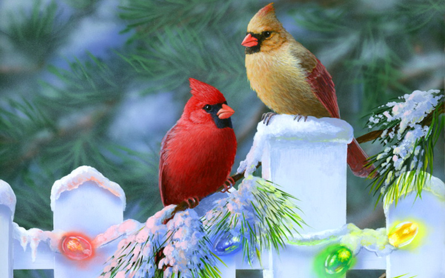 Winter Bird Wallpapers