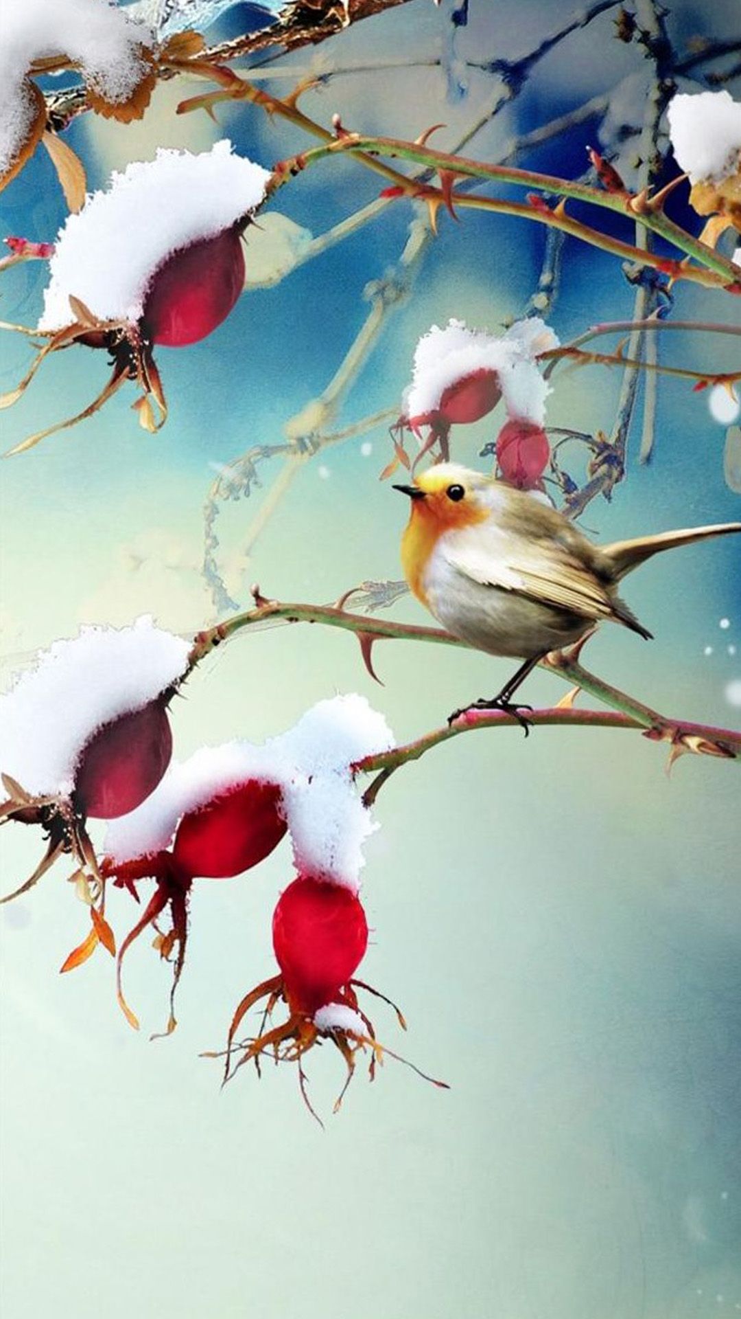 Winter Bird Wallpapers