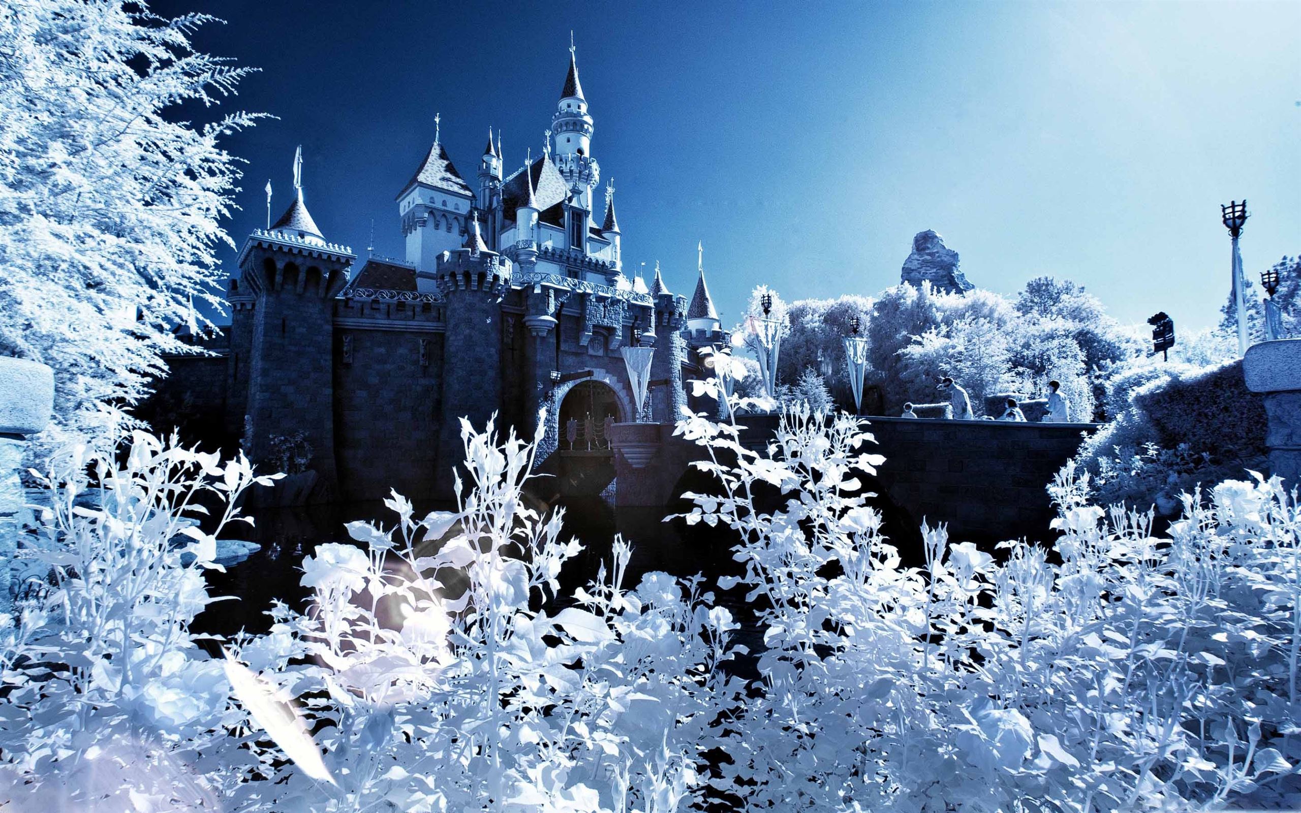 Winter Castle Wallpapers