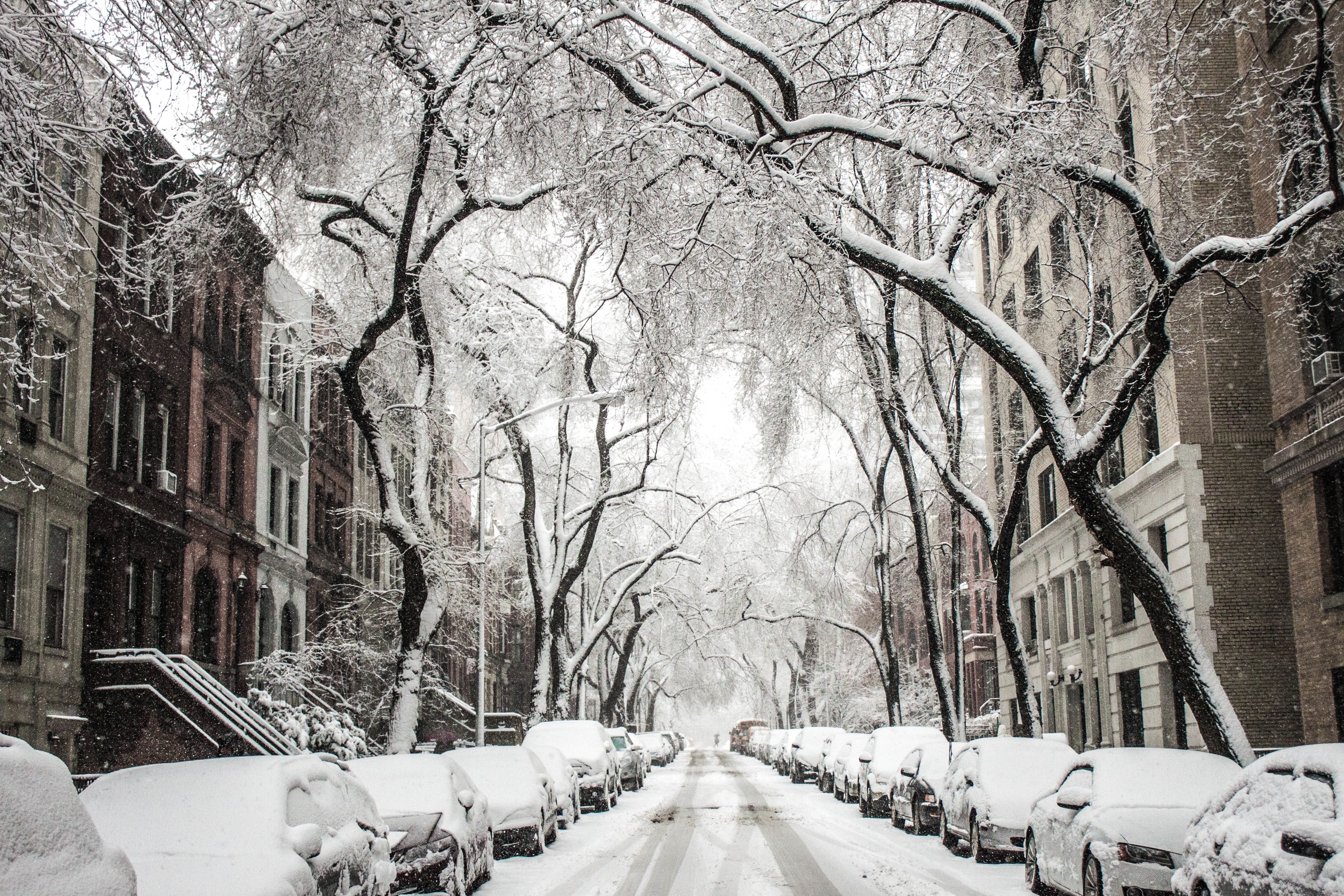 Winter City Background