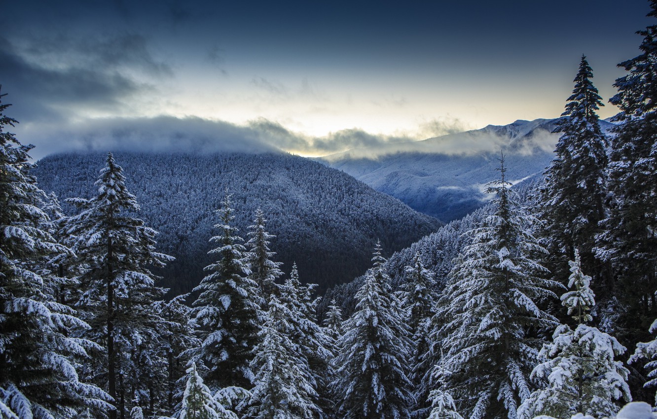 Winter Cloudy Forest Mountains Wallpapers