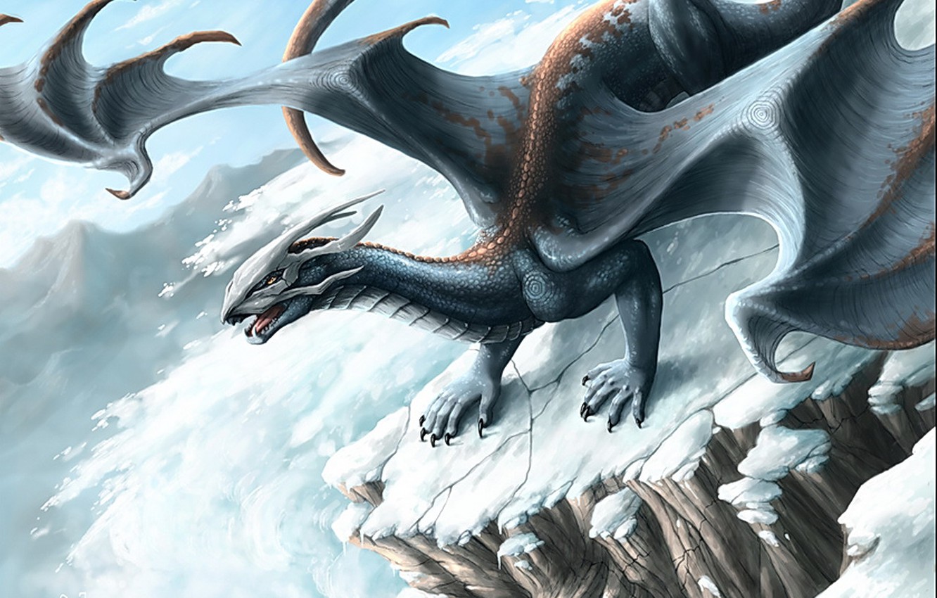 Winter Dragon Wallpapers