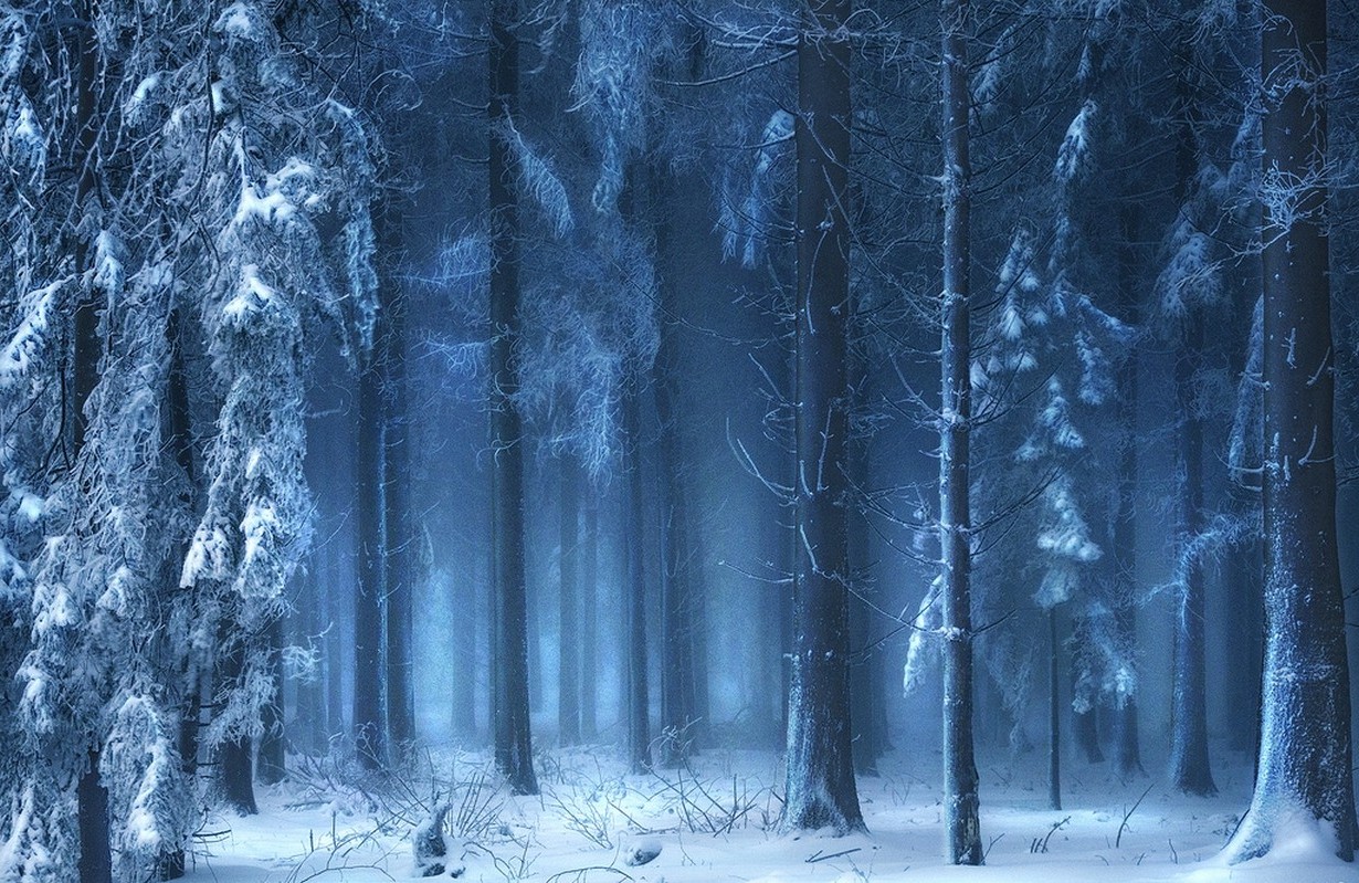 Winter Fairy Background