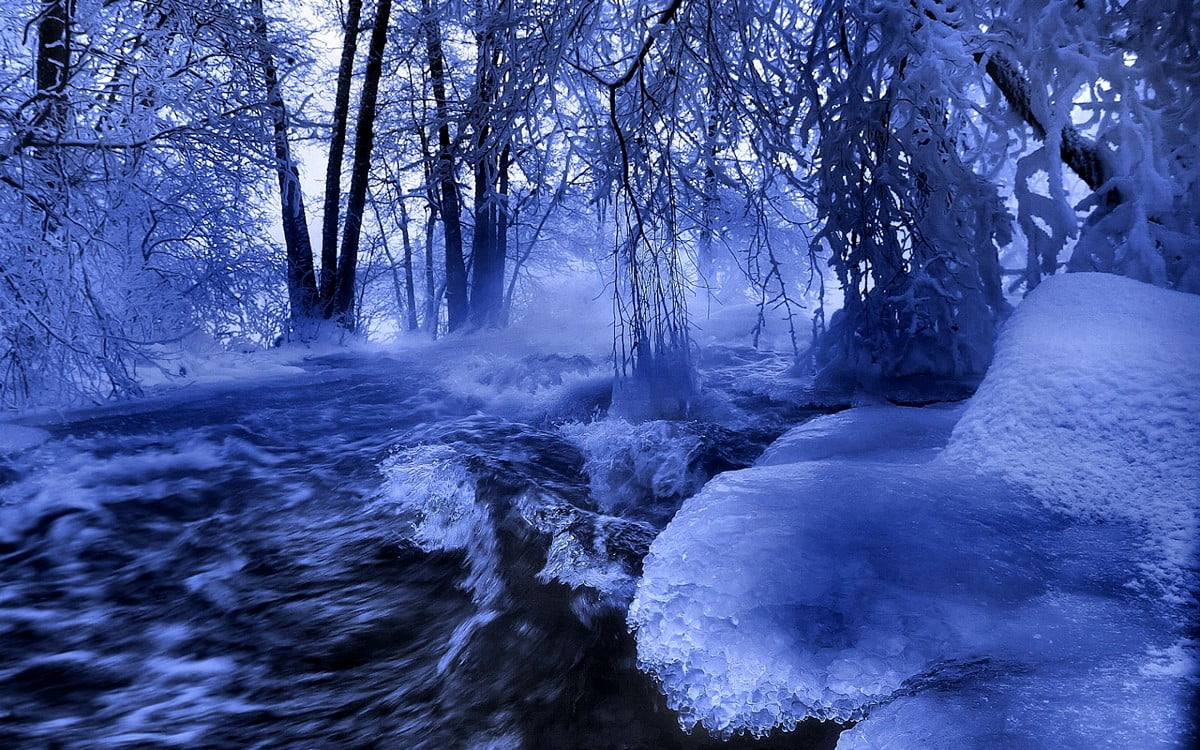 Winter Fantasy Wallpapers