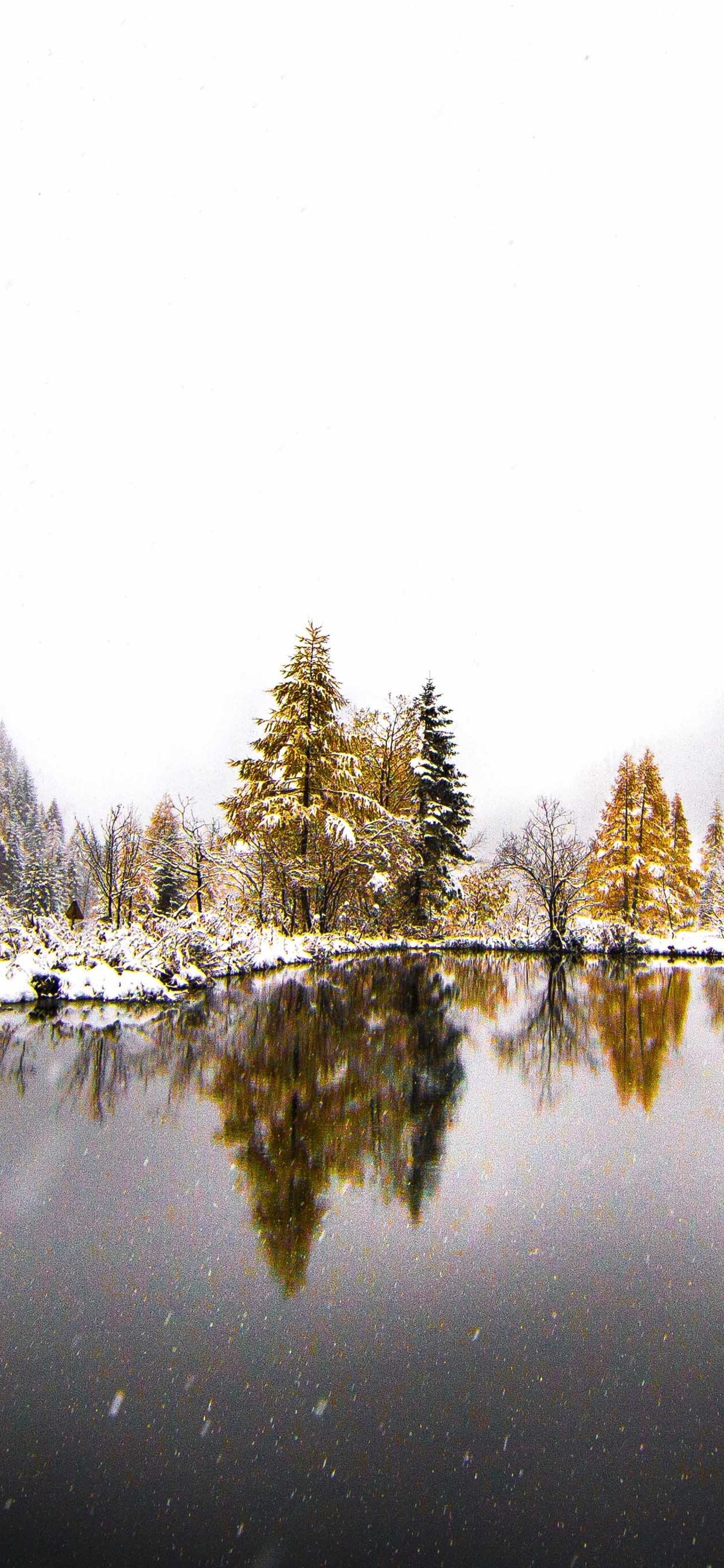 Winter Fog, Snow, Trees And Lake Wallpapers