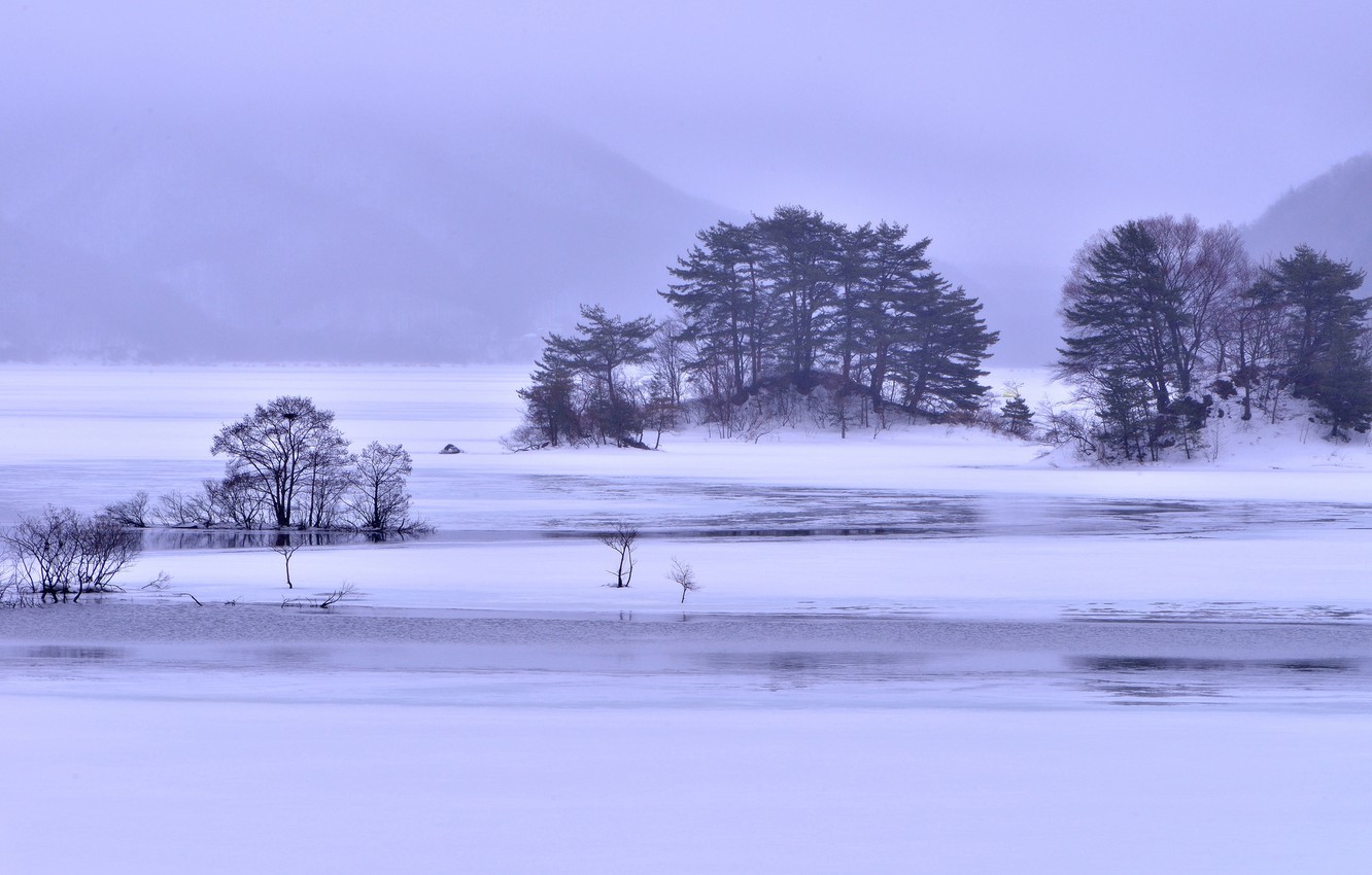 Winter Fog, Snow, Trees And Lake Wallpapers