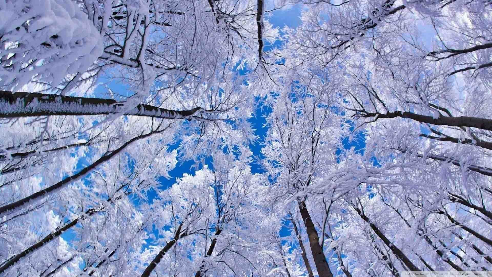 Winter For Computer Wallpapers
