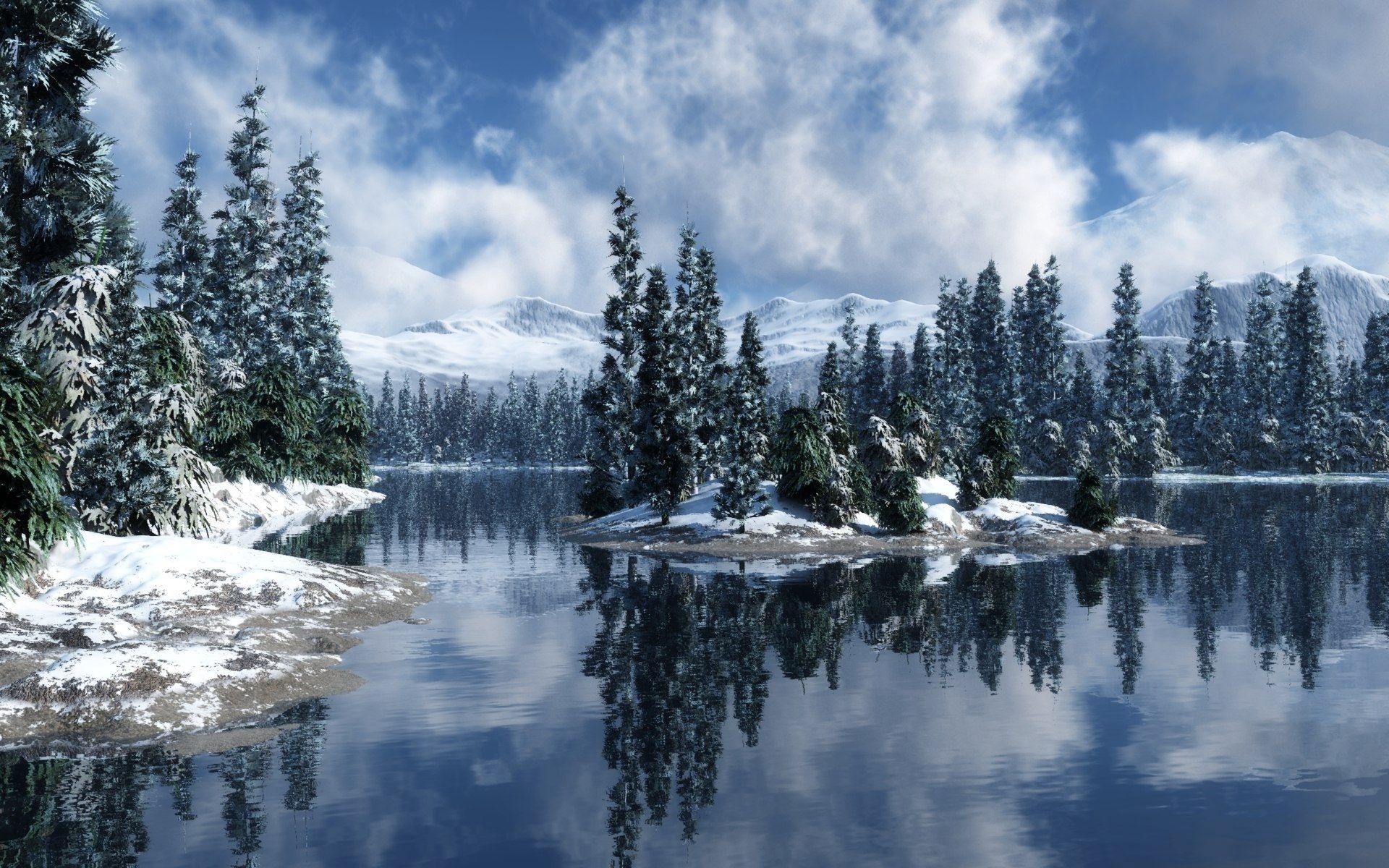 Winter Forest Landscape Nature Snow Wallpapers