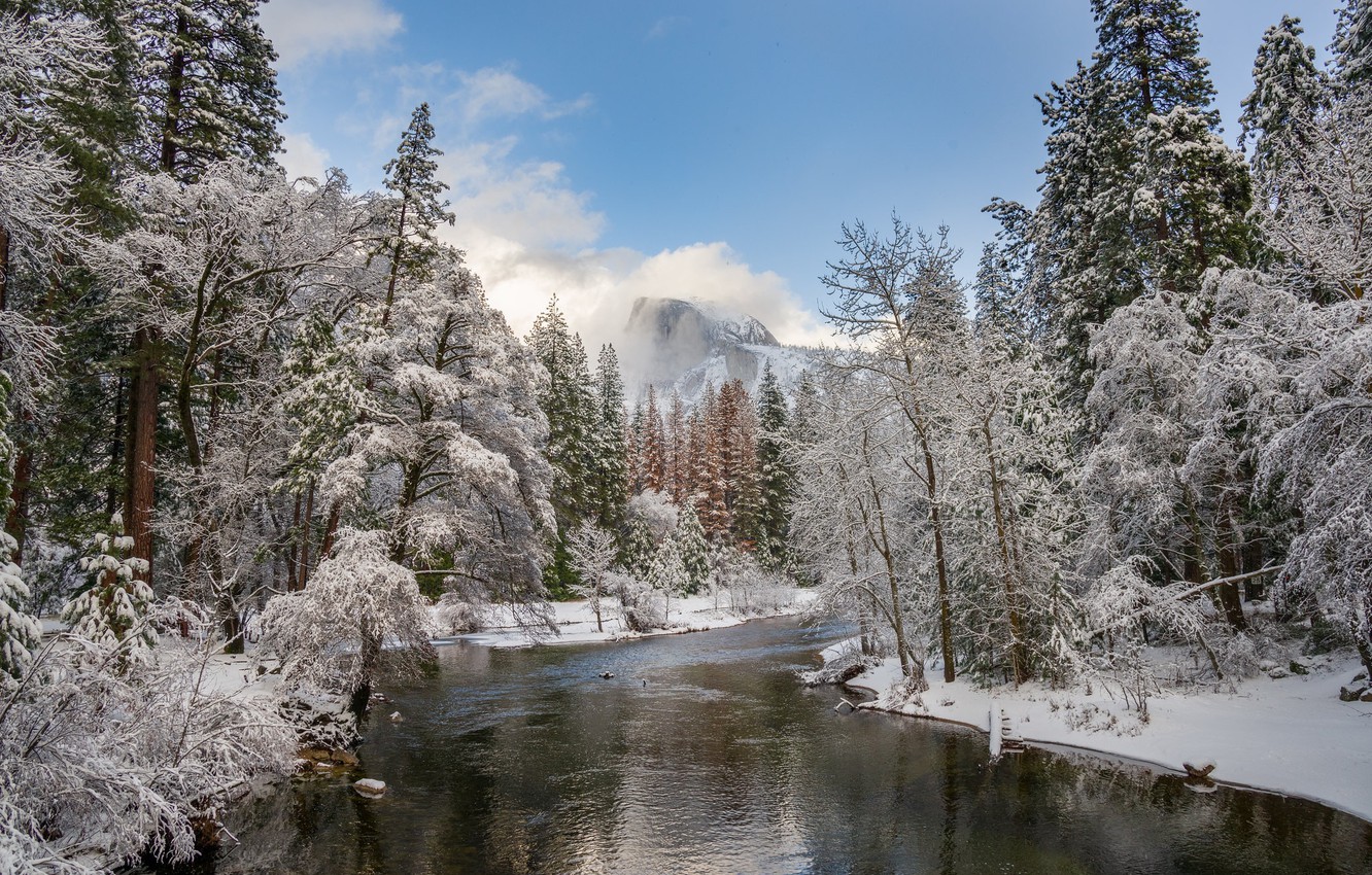 Winter Forest Landscape Nature Snow Wallpapers