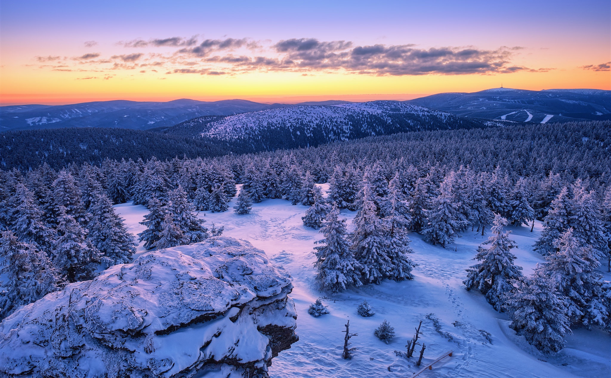 Winter Forest Landscape Nature Snow Wallpapers