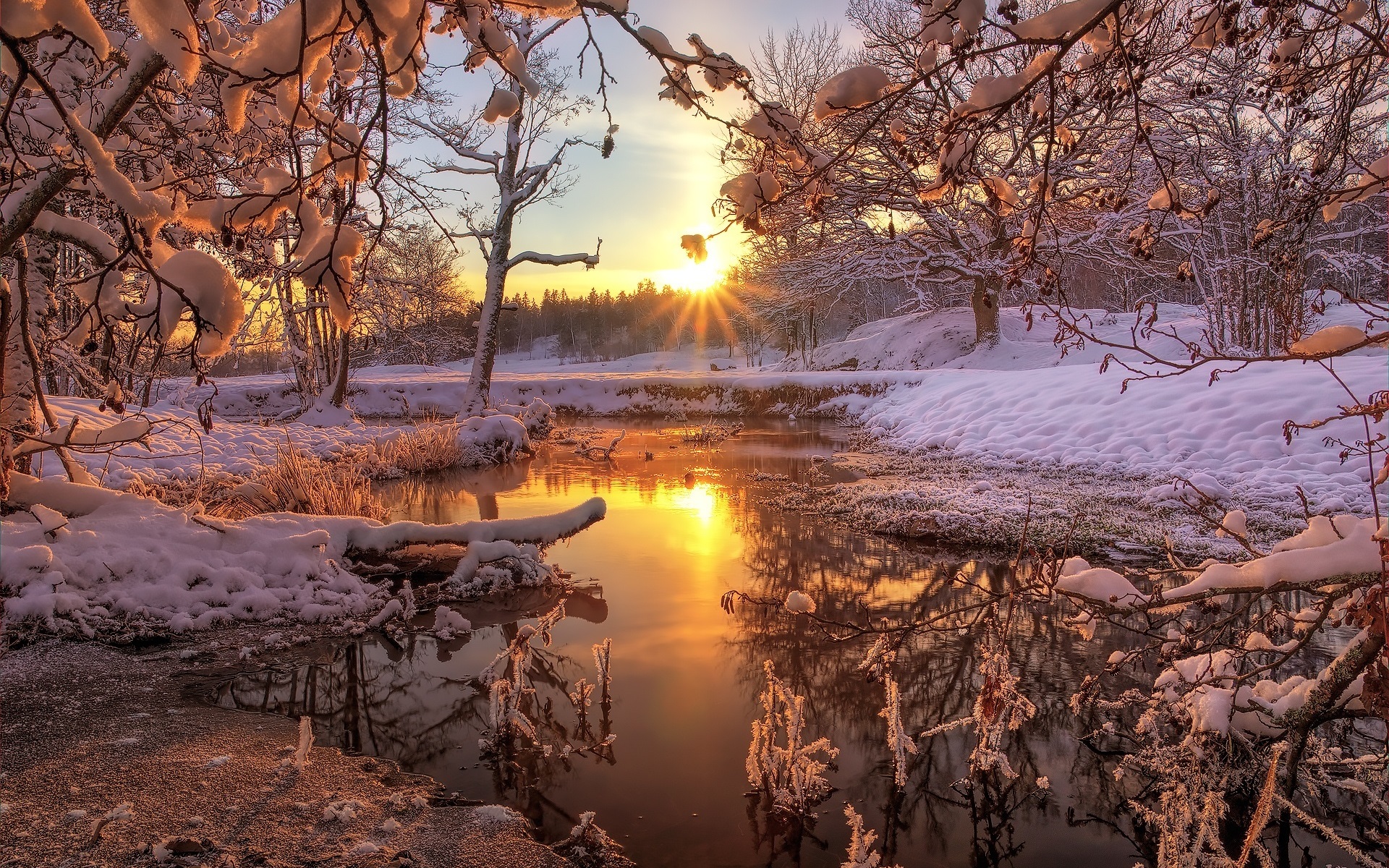 Winter Forest Landscape Nature Snow Wallpapers