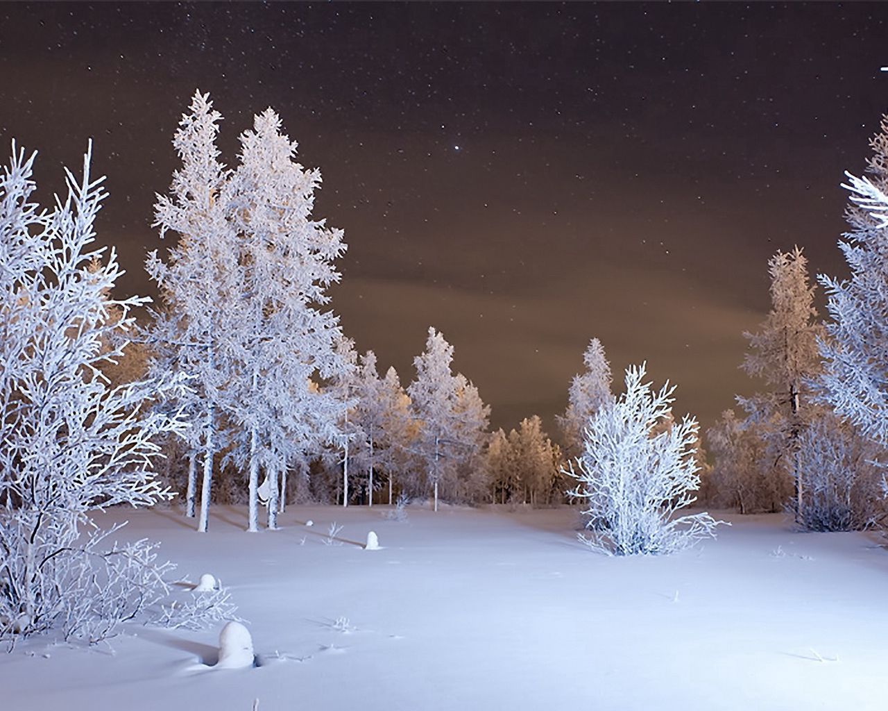 Winter Forest Landscape Nature Snow Wallpapers