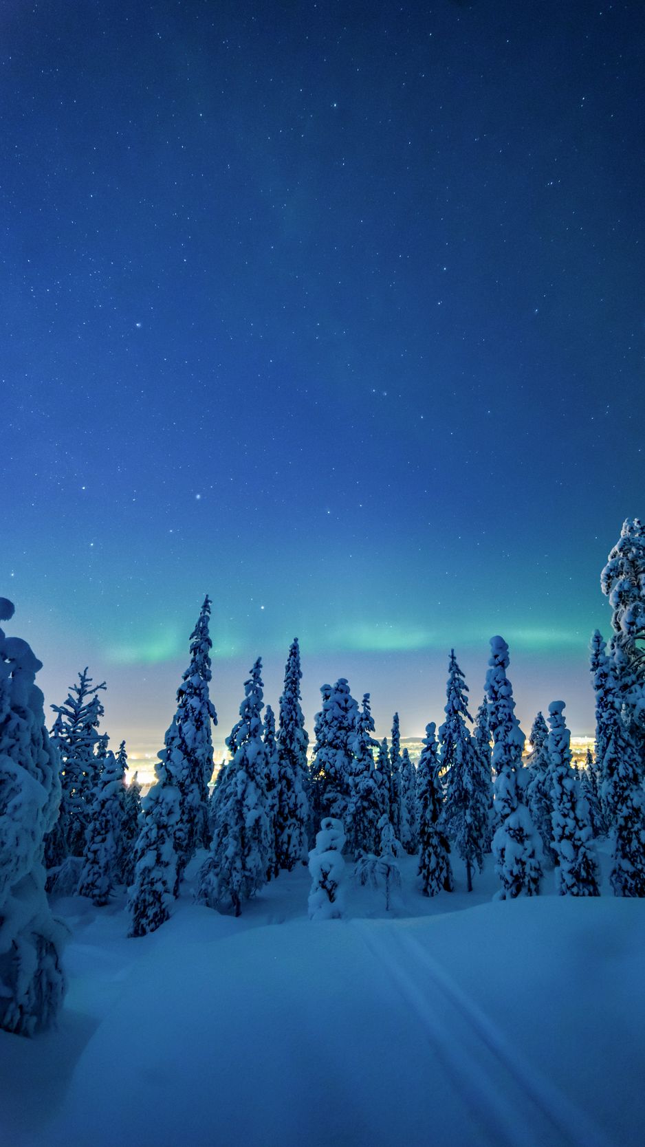 Winter Forest Night Wallpapers