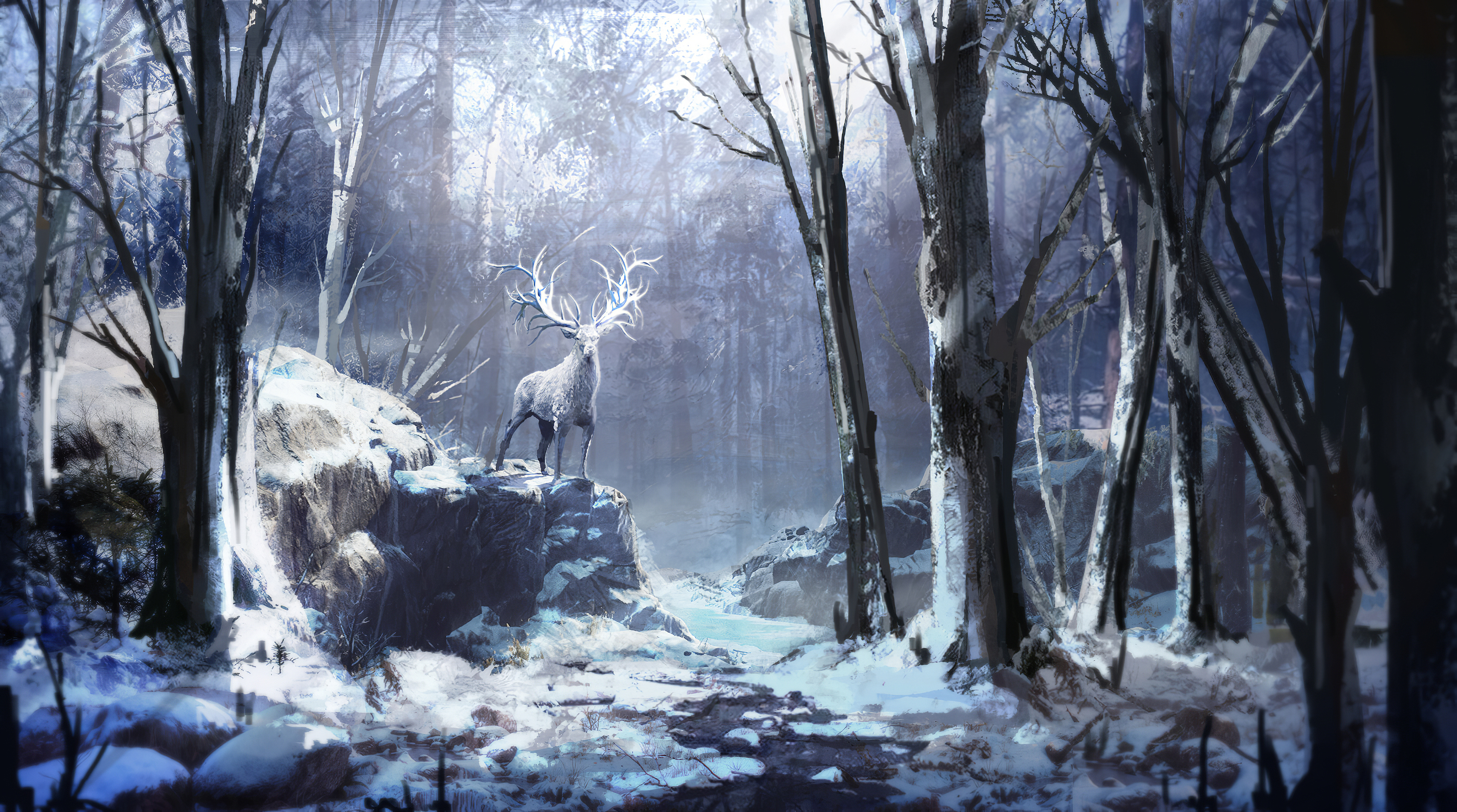 Winter Forest Wallpapers