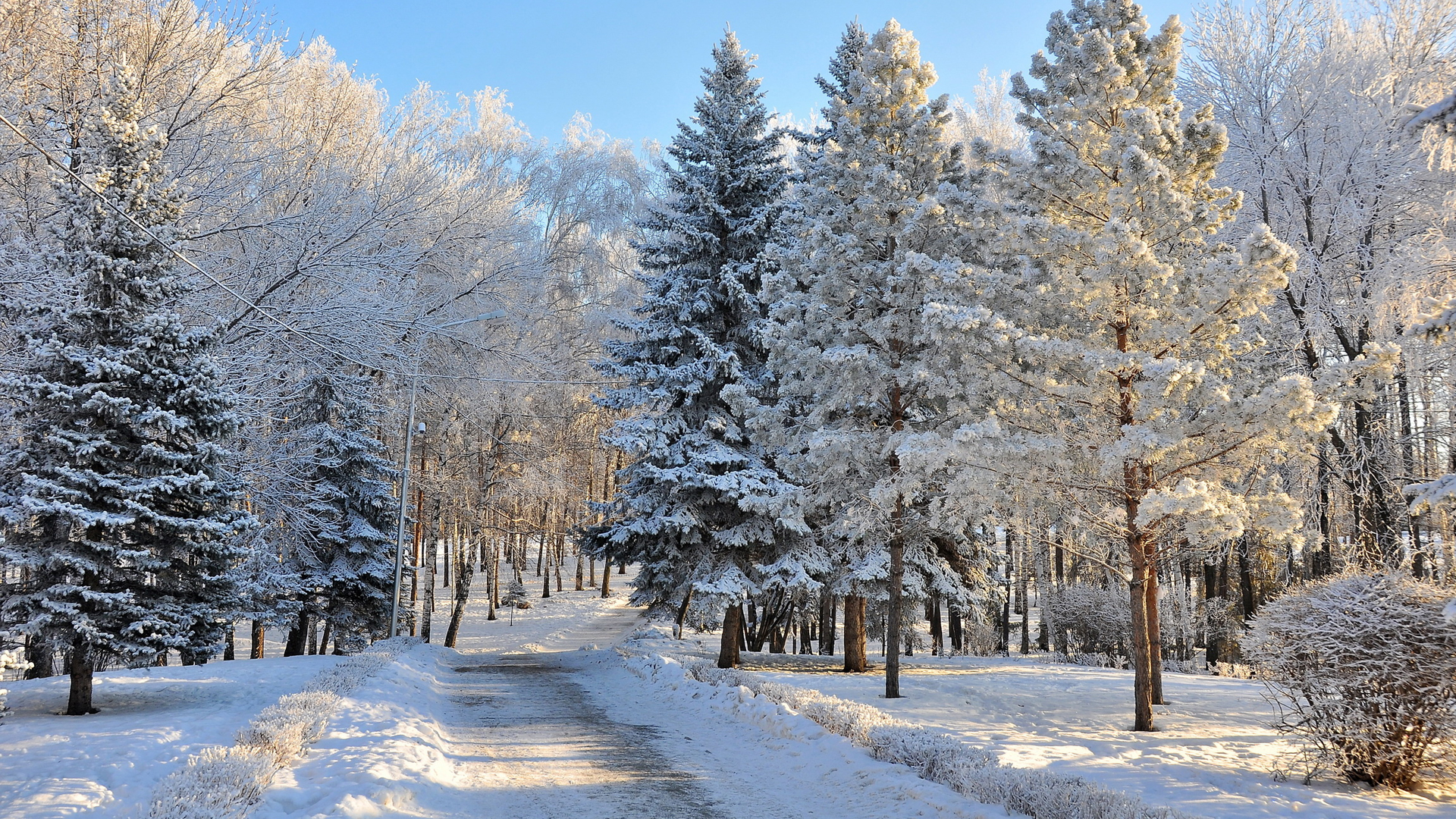 Winter In Russia Wallpapers