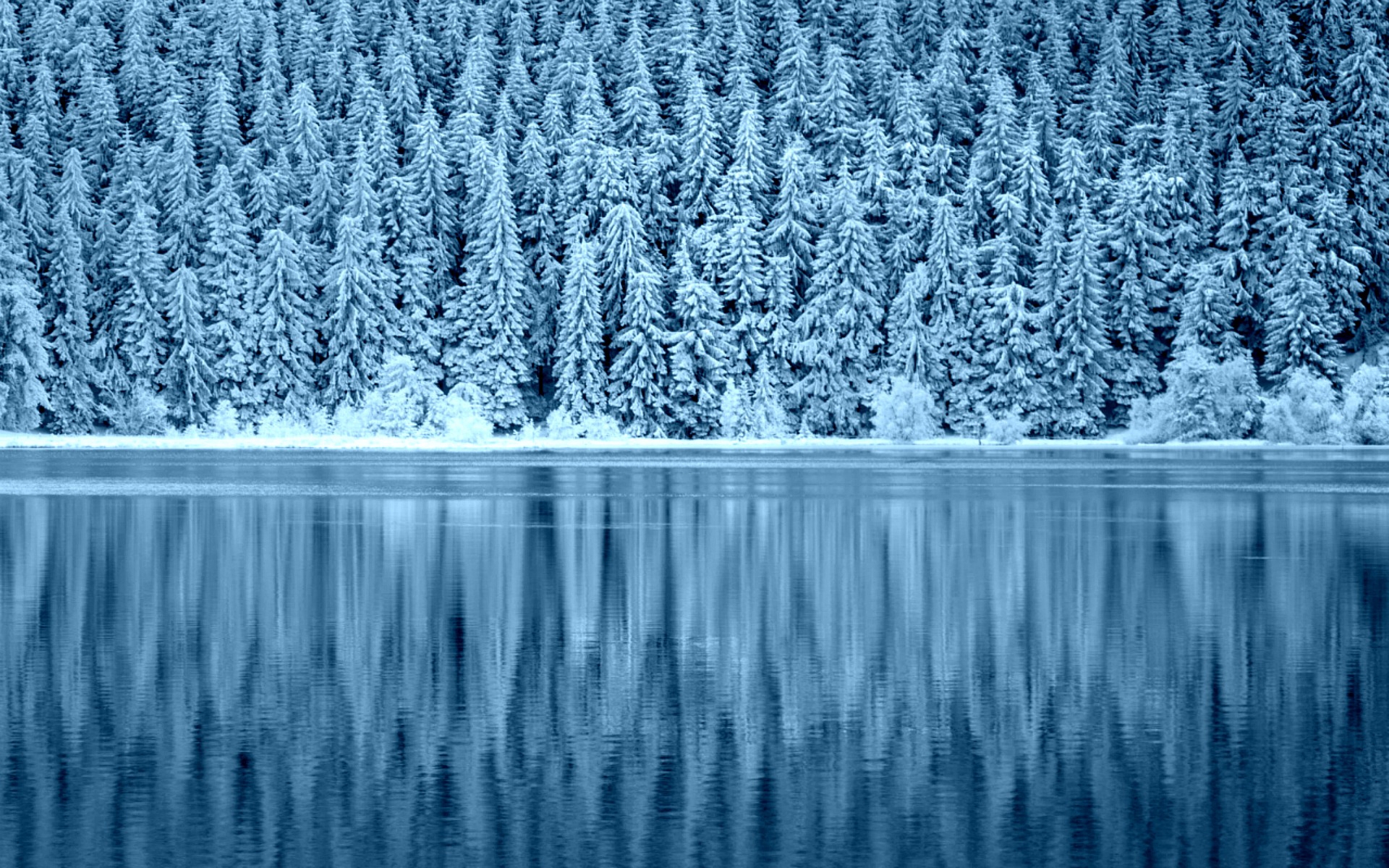 Winter Lake Wallpapers