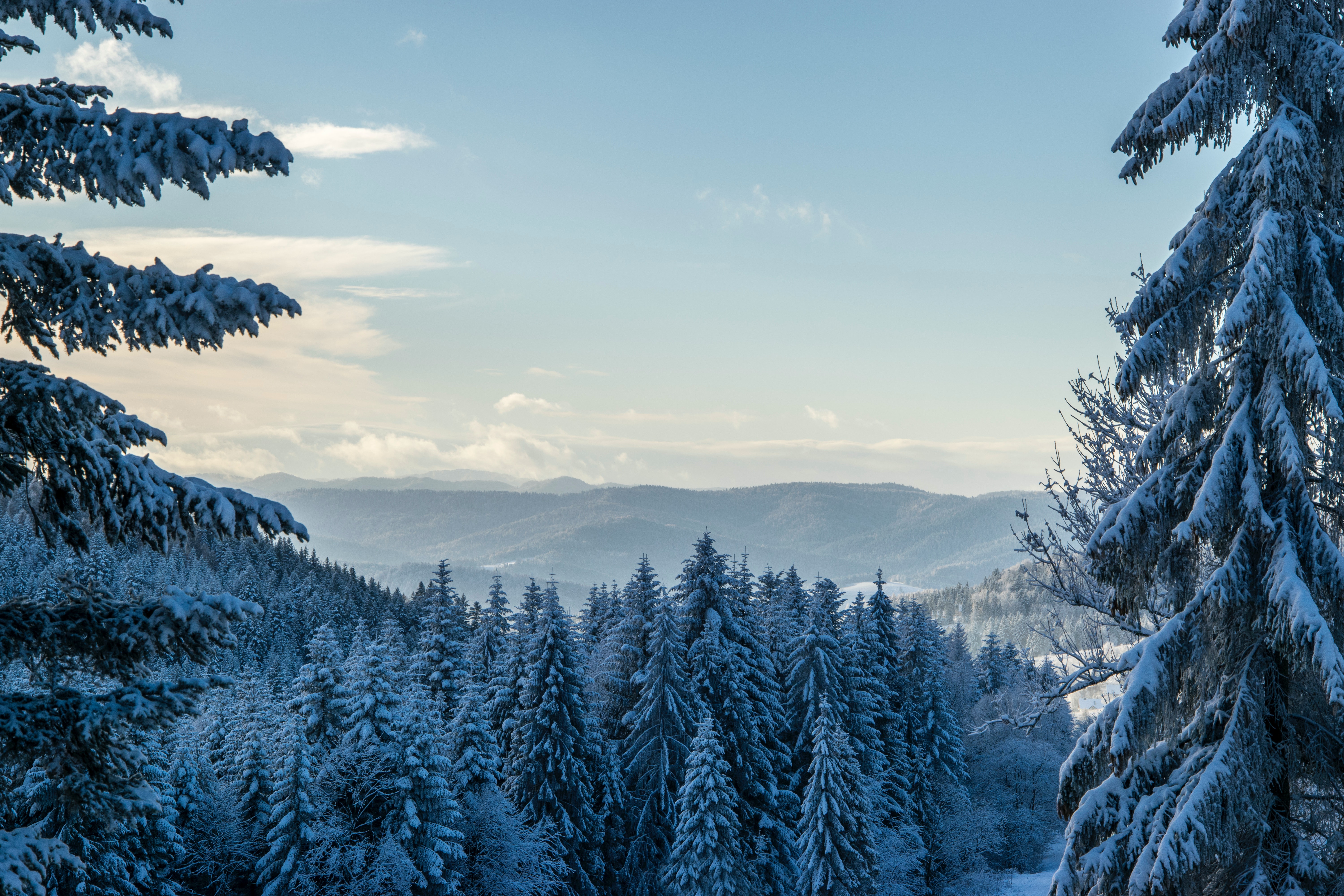 Winter Landscape With Snow Covered Trees Wallpapers