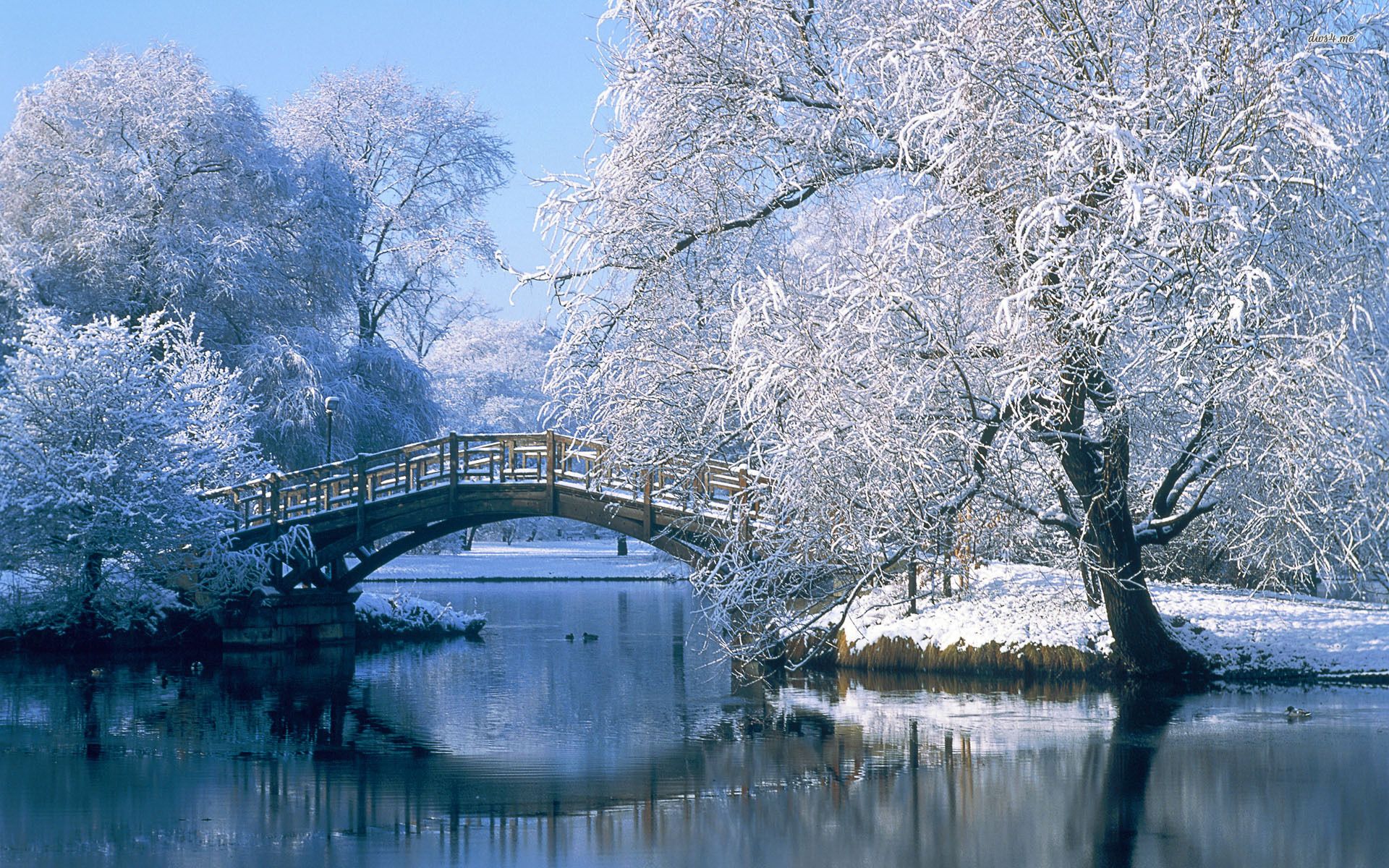 Winter Landscapes Wallpapers