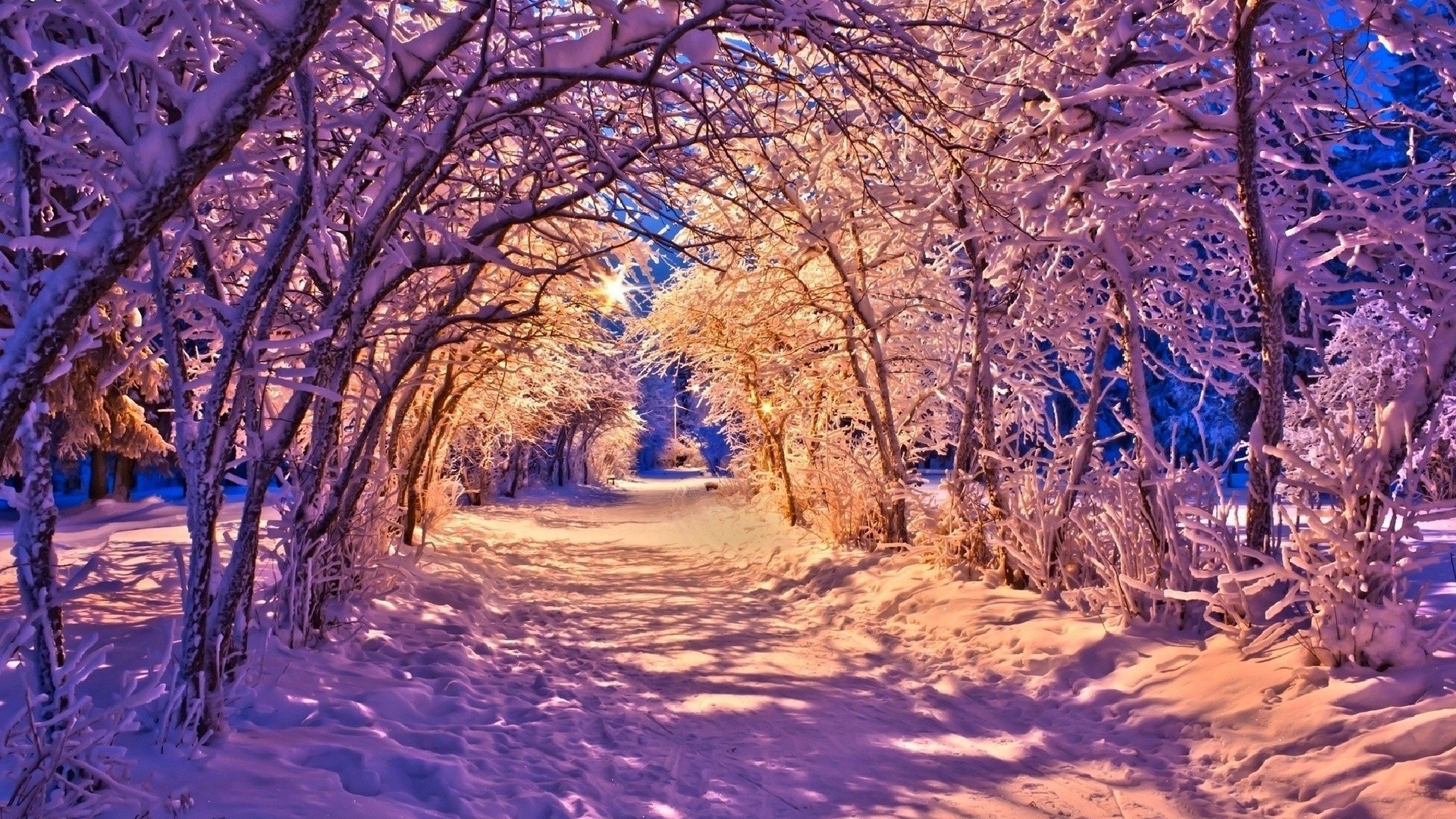 Winter Landscapes Wallpapers